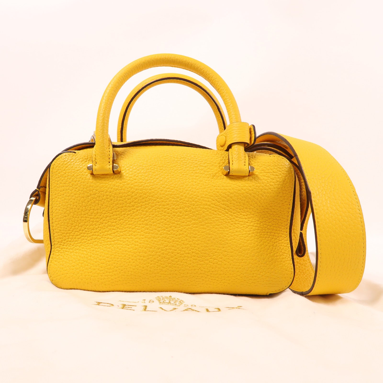 Delvaux 牛皮皮革Cool Box Mini金扣手挽肩背兩用袋