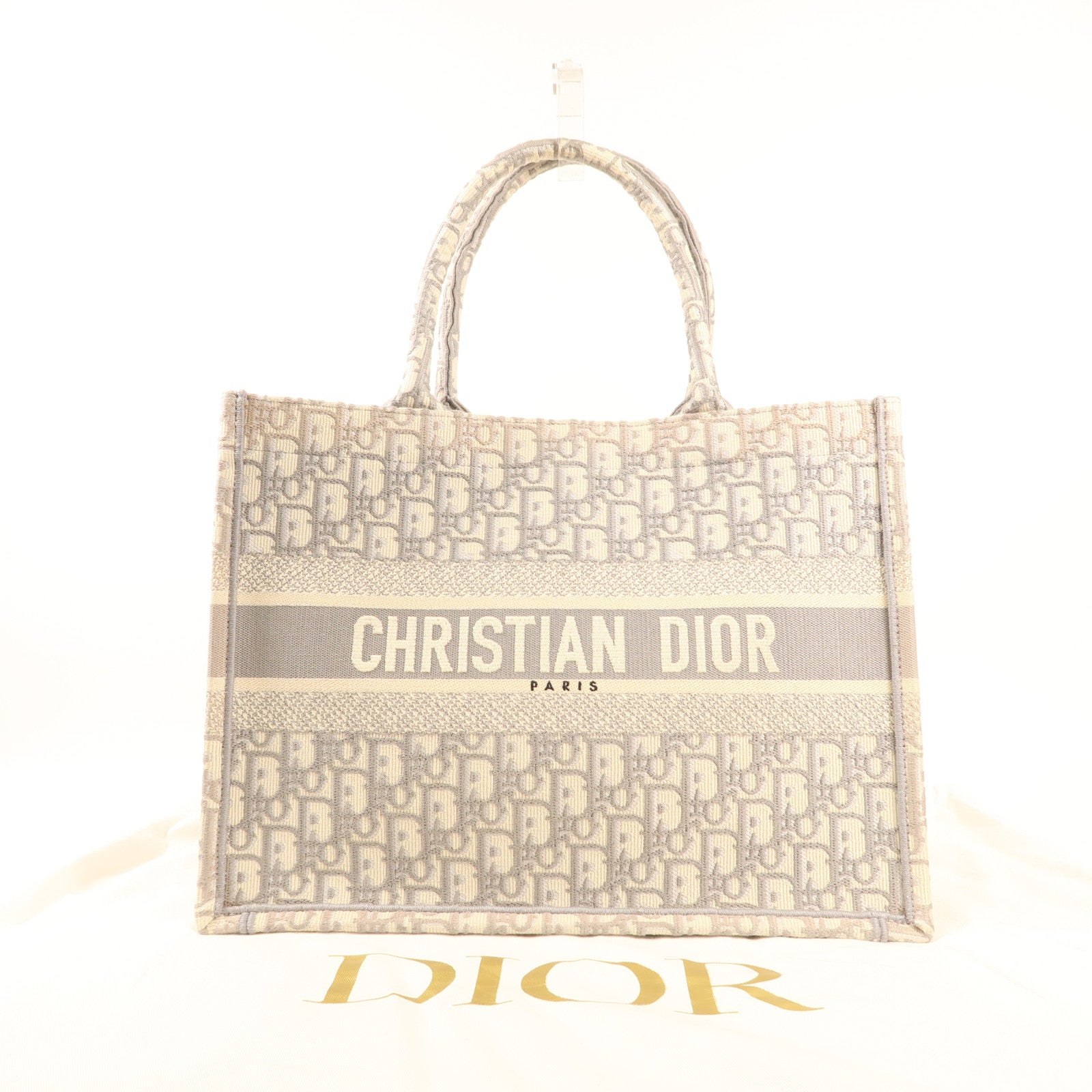 Dior 帆布Book Tote MM手挽袋