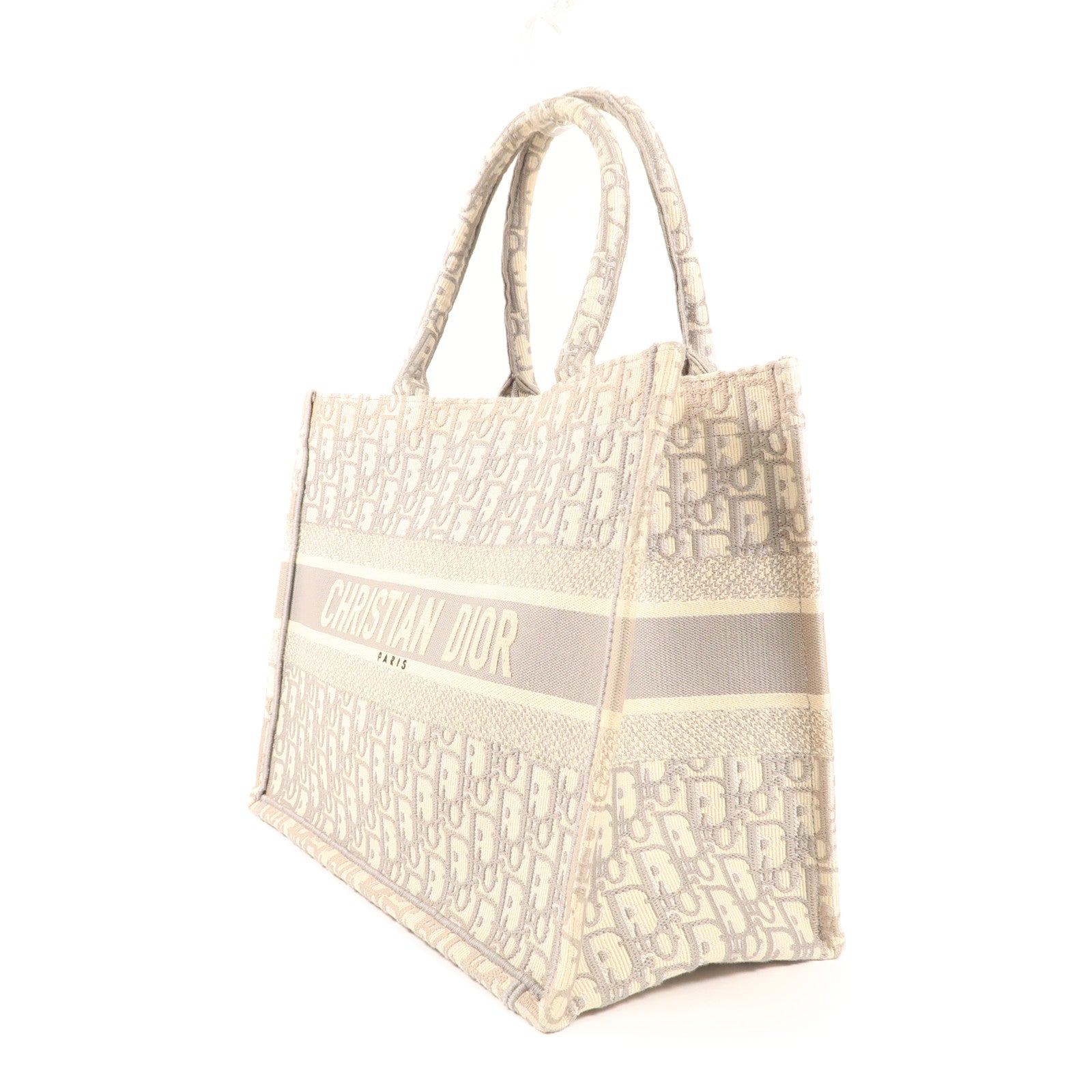 Dior 帆布Book Tote MM手挽袋