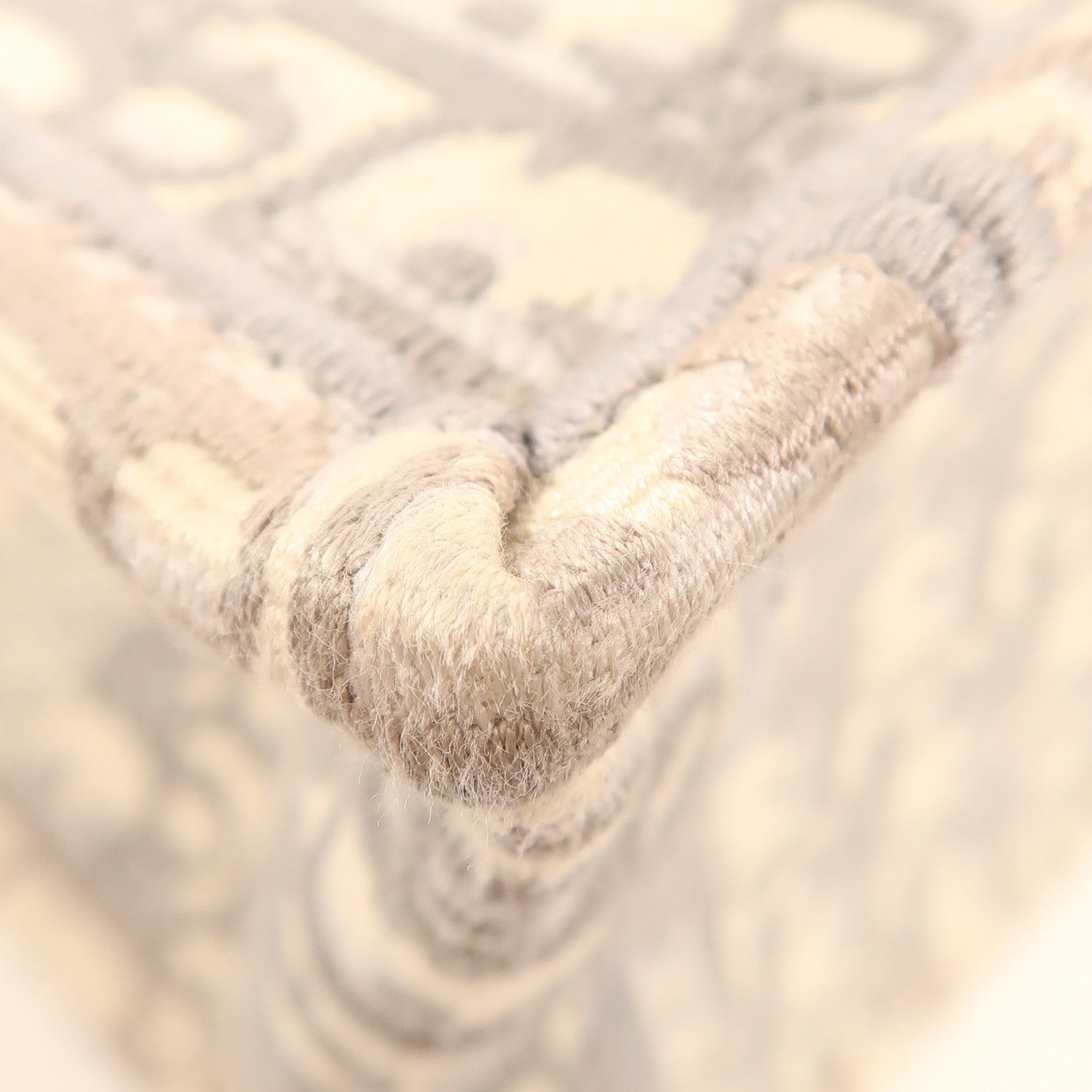 Dior 帆布Book Tote MM手挽袋