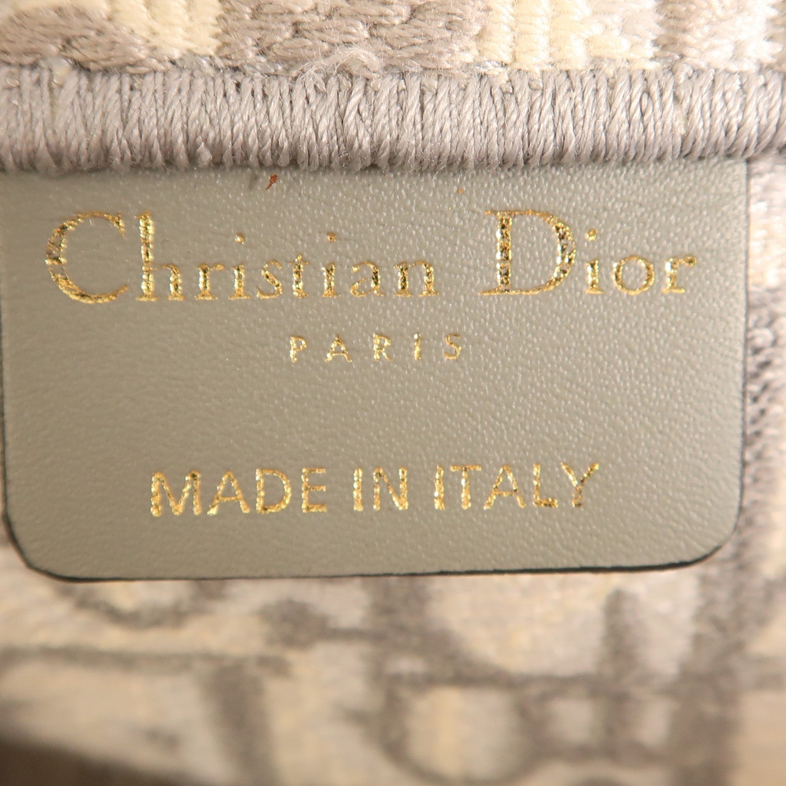Dior 帆布Book Tote MM手挽袋