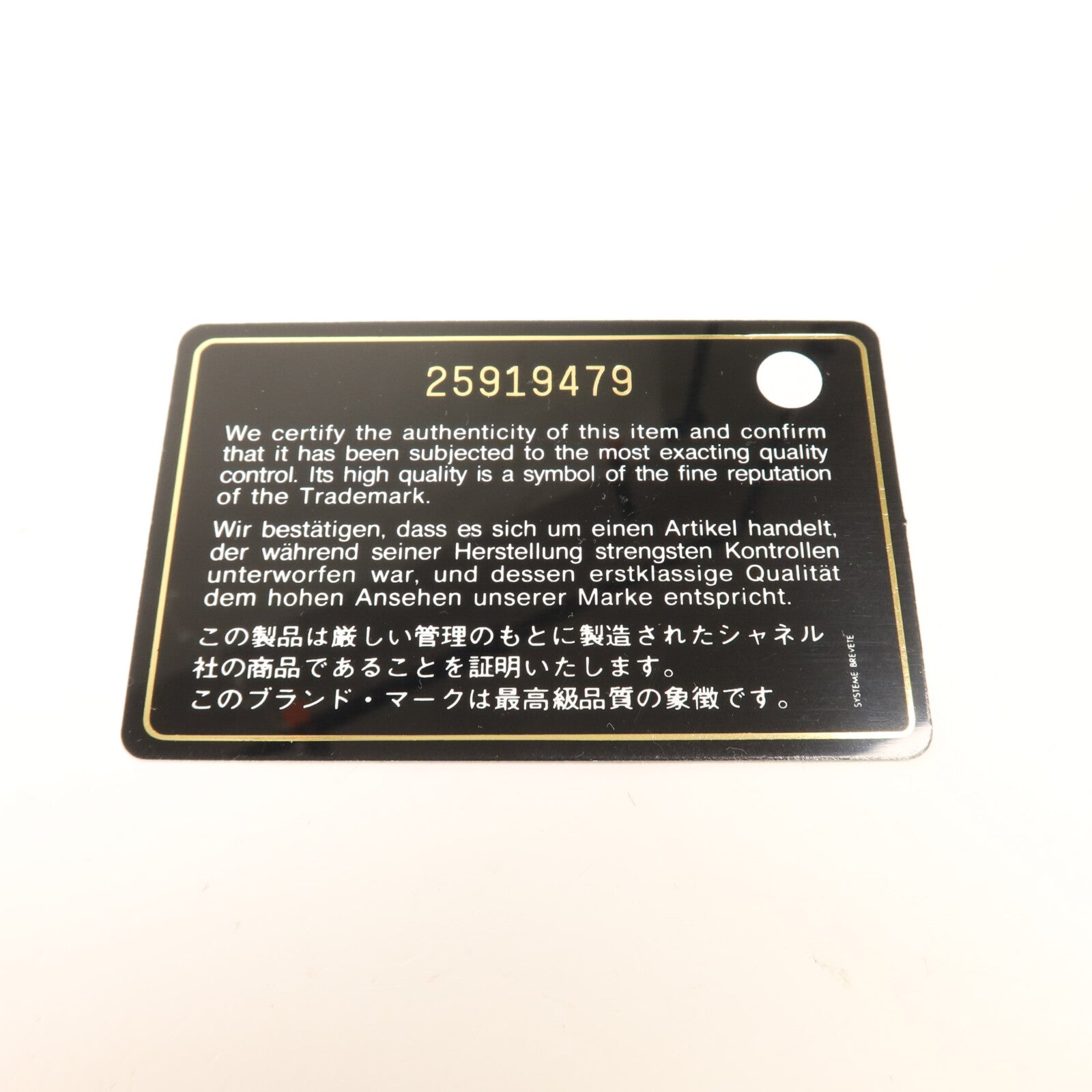 CHANEL 牛皮皮革Coco Handle金扣手挽肩背兩用袋