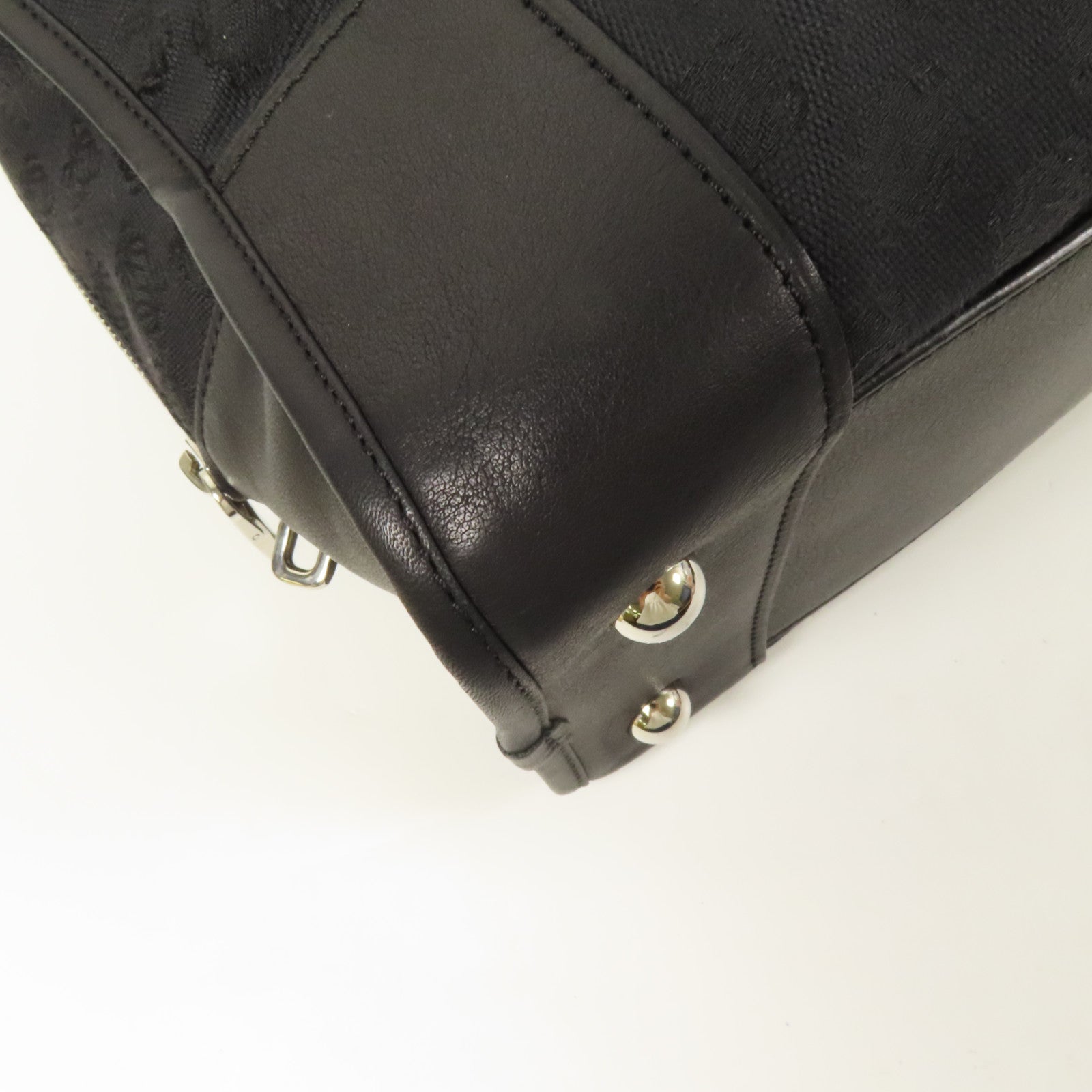 LOEWE 帆布Amazona銀扣手挽袋