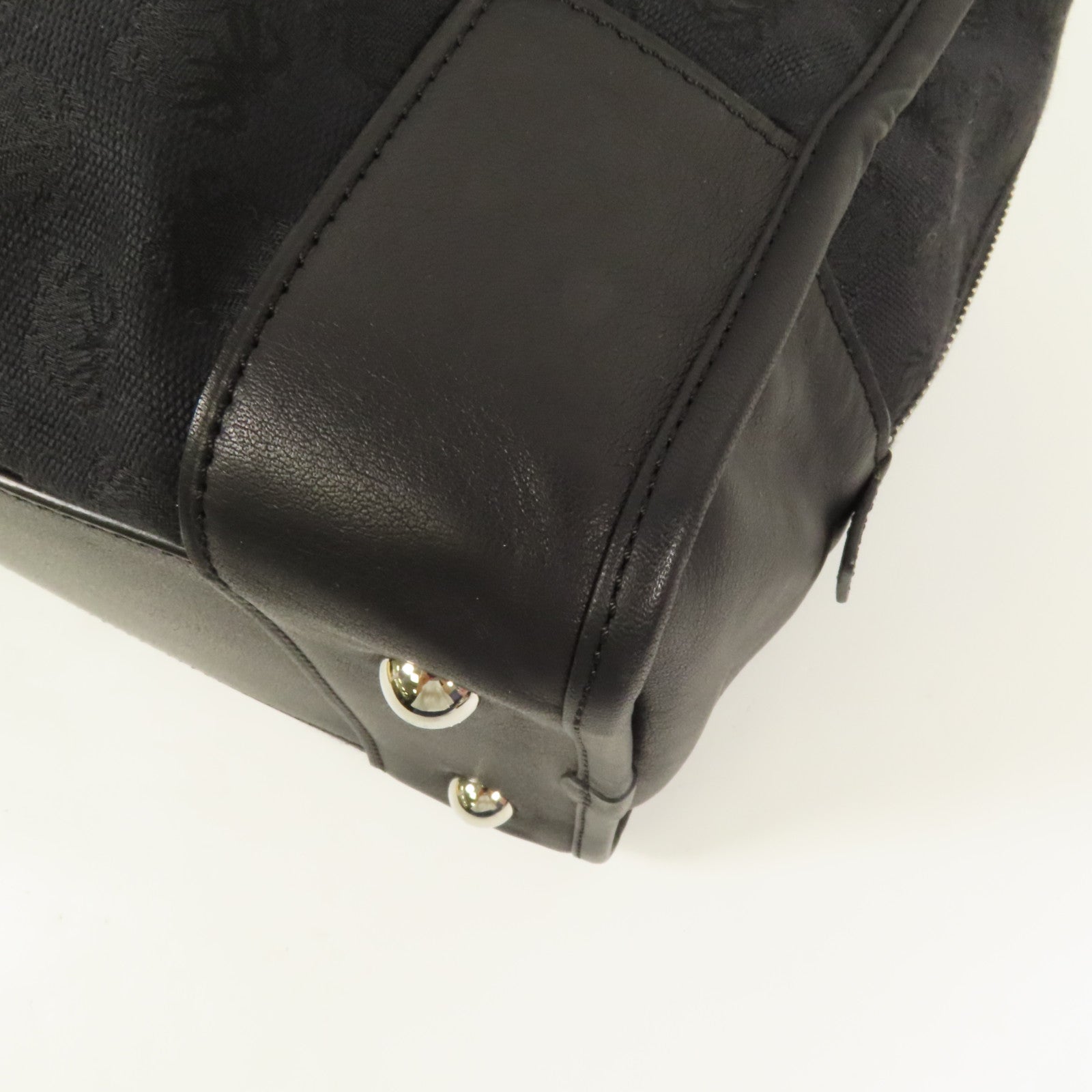 LOEWE 帆布Amazona銀扣手挽袋