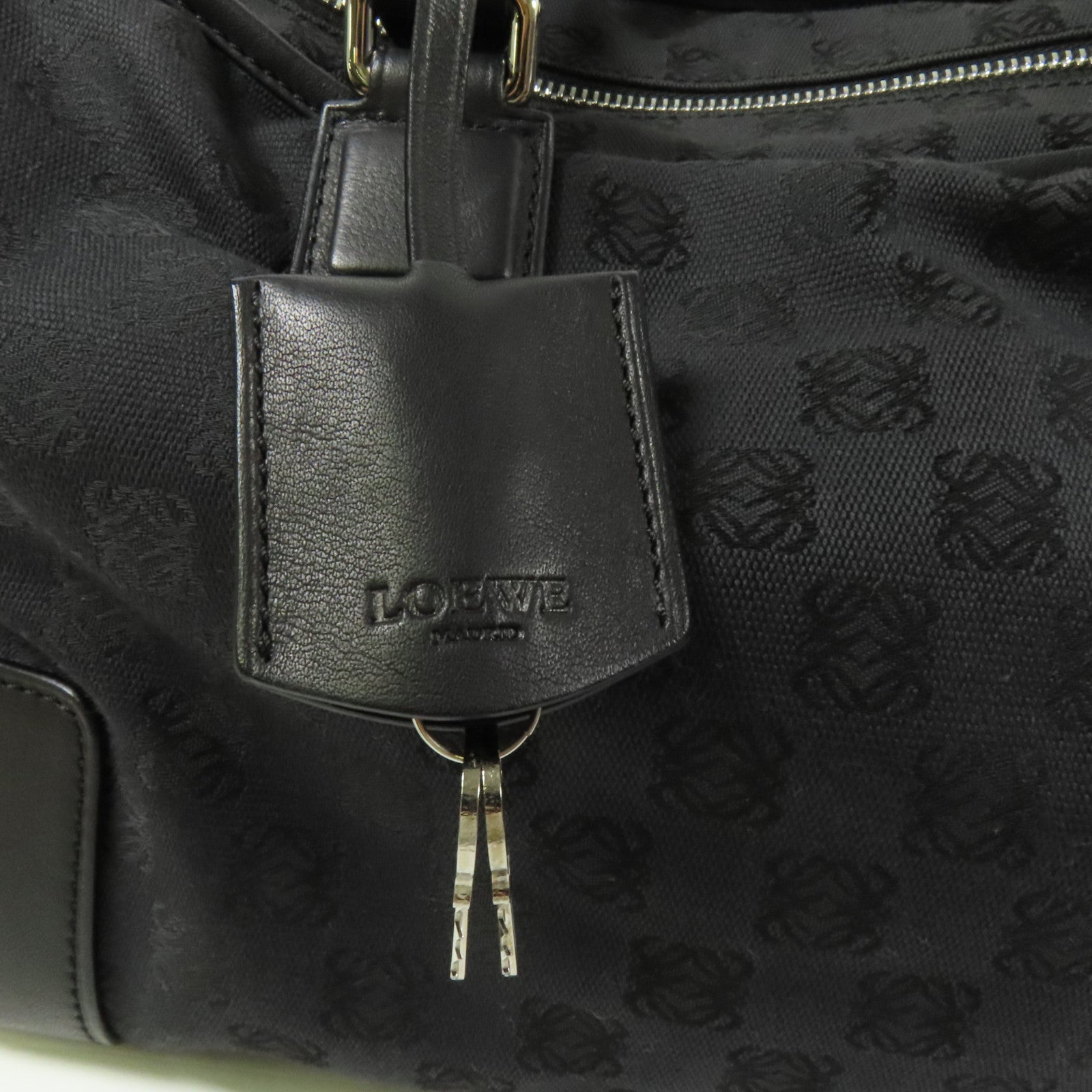 LOEWE 帆布Amazona銀扣手挽袋