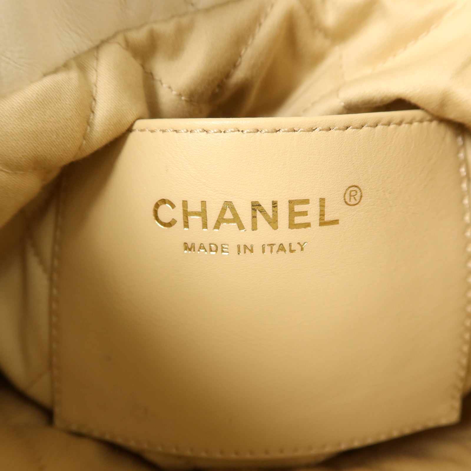 CHANEL 牛皮皮革Chanel 22 Mini金扣手挽肩背兩用袋