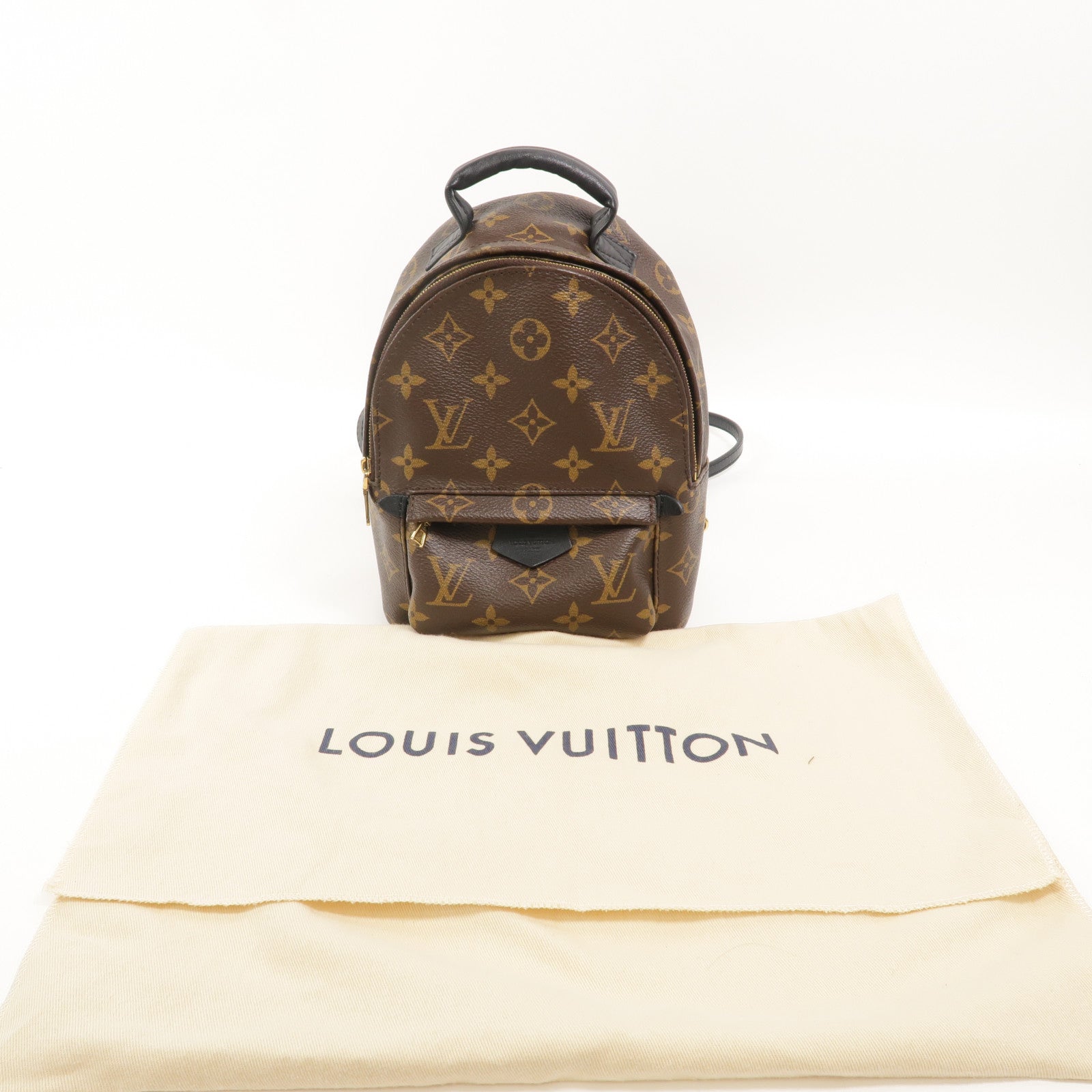 LOUIS VUITTON Monogram Palm Springs Mini背包