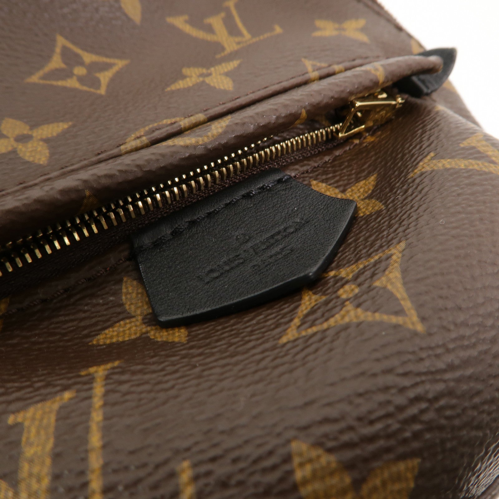 LOUIS VUITTON Monogram Palm Springs Mini背包