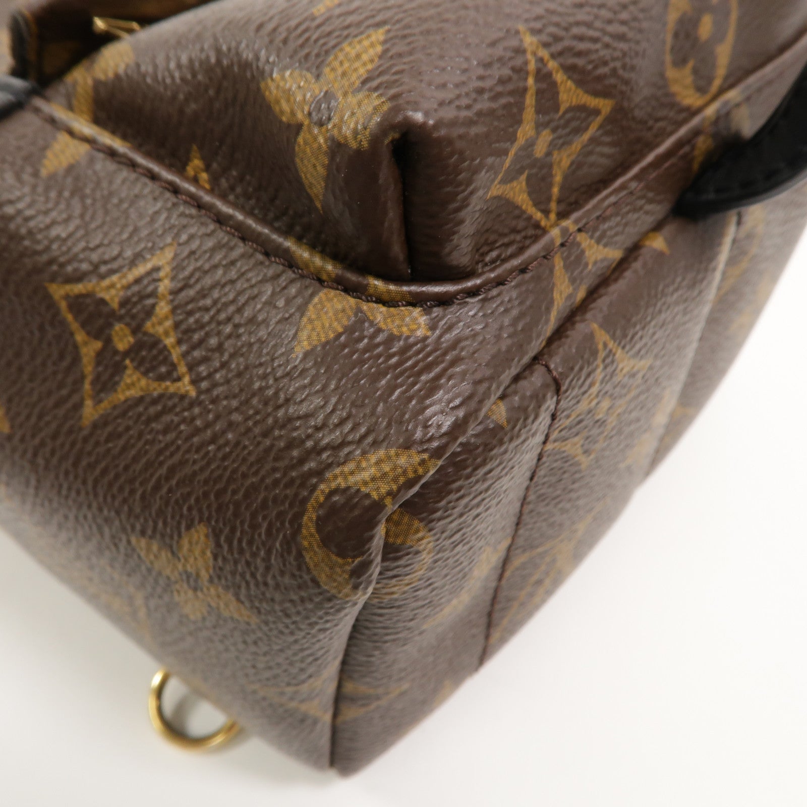 LOUIS VUITTON Monogram Palm Springs Mini背包