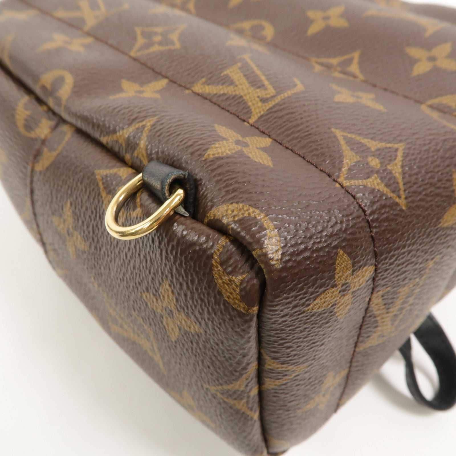 LOUIS VUITTON Monogram Palm Springs Mini背包
