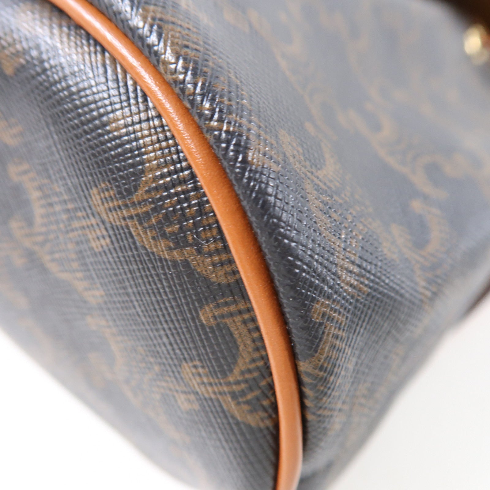 CELINE 塗層帆布Triomphe Backpack金扣背包棕色