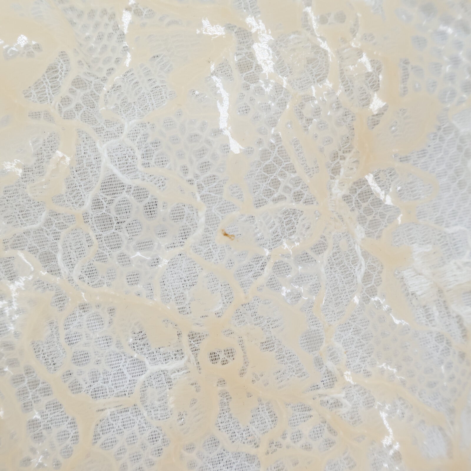 CHANEL Lace Short短褲