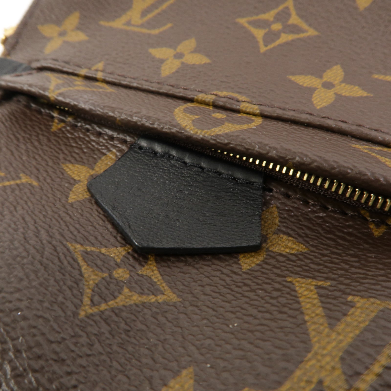 LOUIS VUITTON Monogram Palm Springs Mini背包