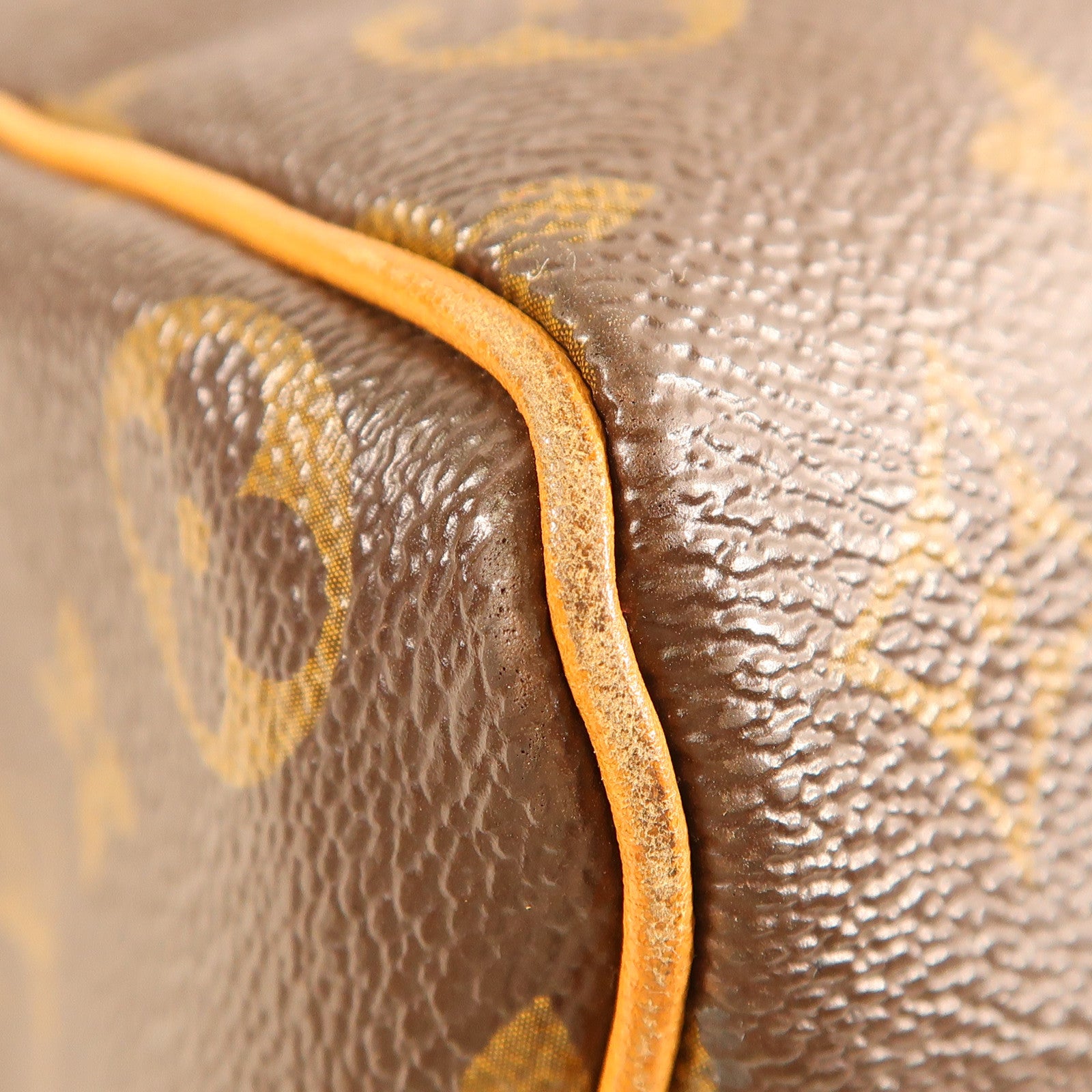 LOUIS VUITTON Monogram Speedy金扣手挽袋