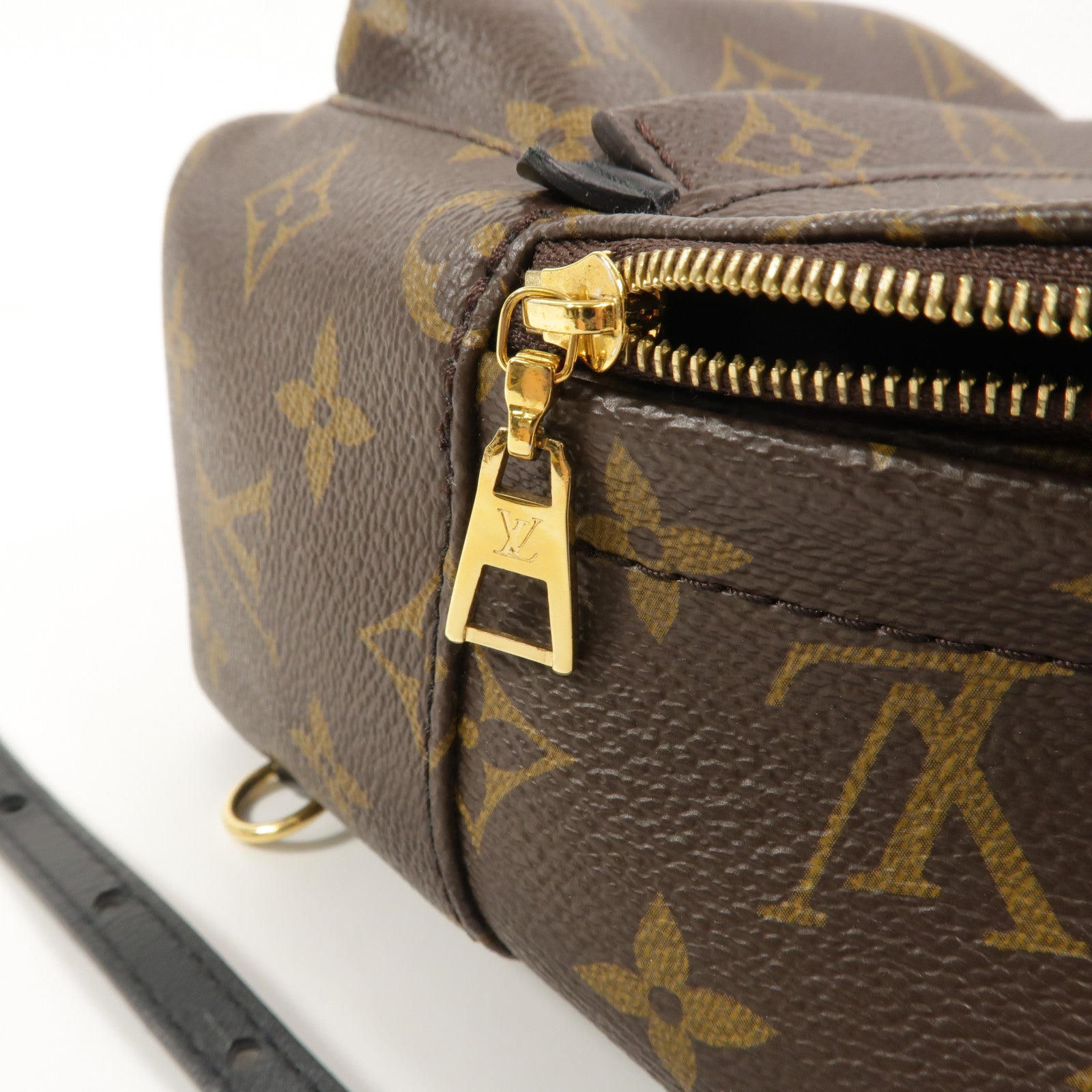 LOUIS VUITTON Monogram Palm Springs Mini背包