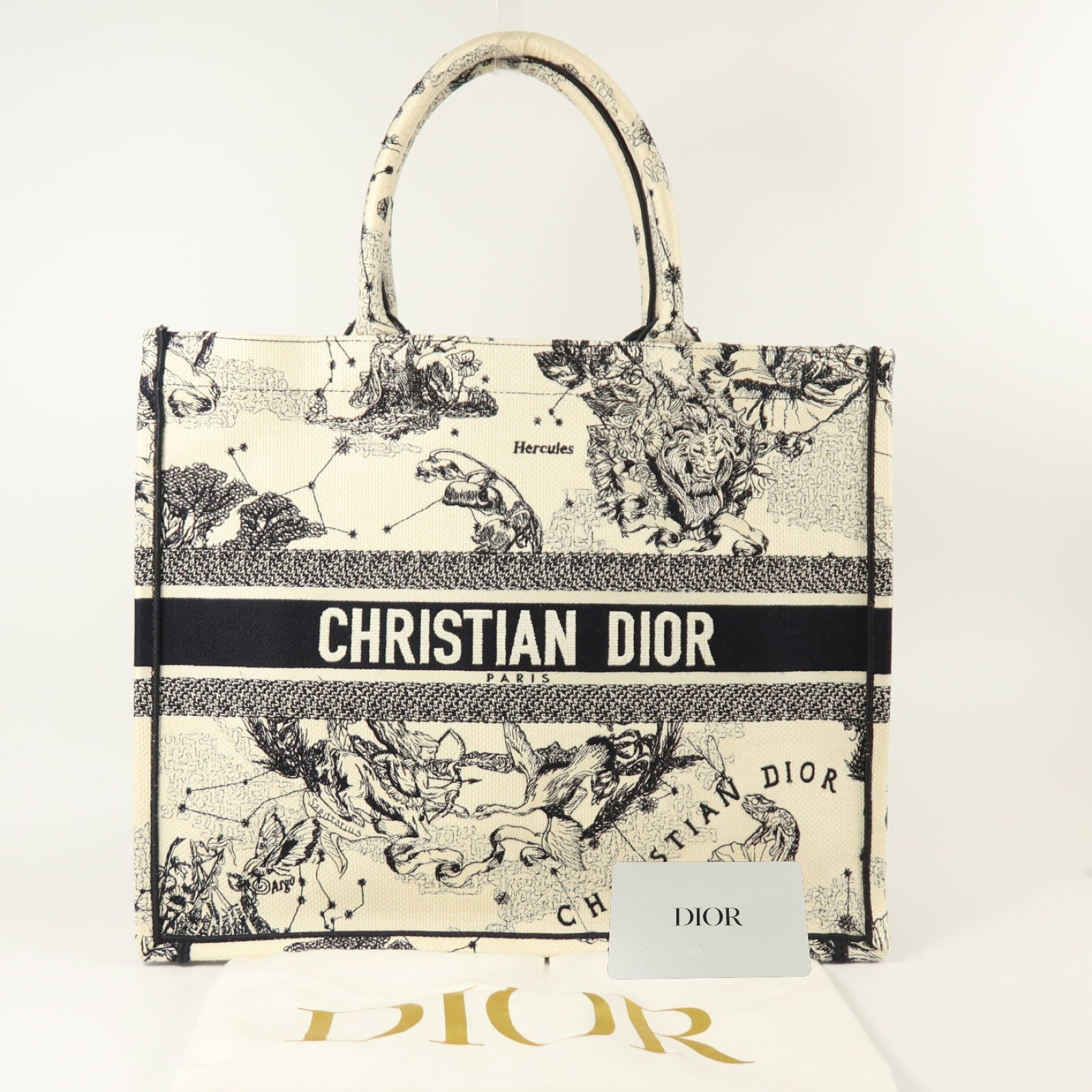 Dior 帆布Book Tote Large手挽袋