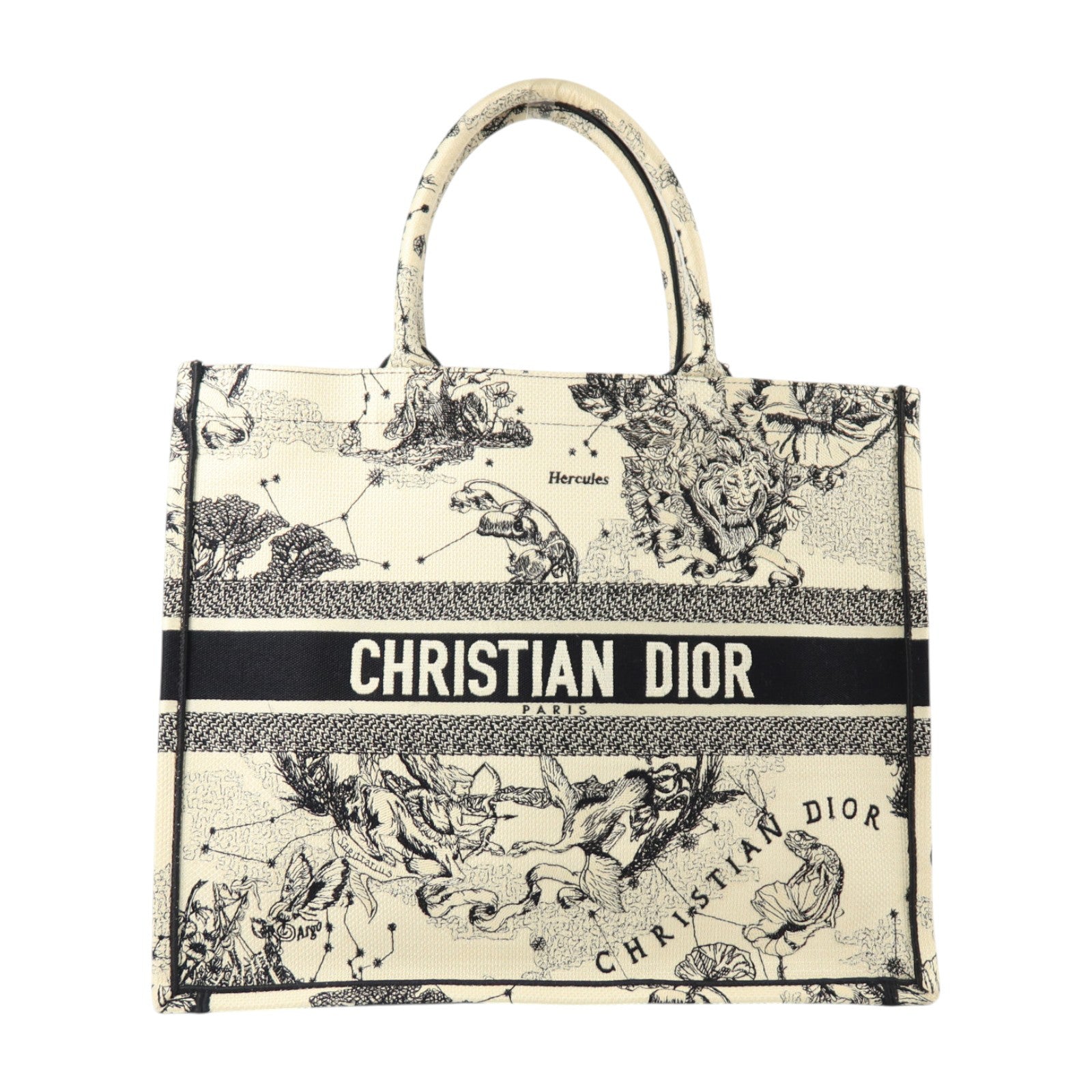 Dior 帆布Book Tote Large手挽袋