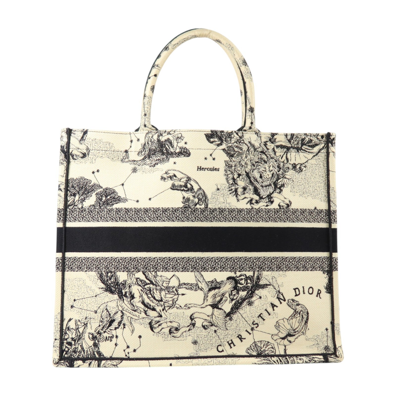 Dior 帆布Book Tote Large手挽袋