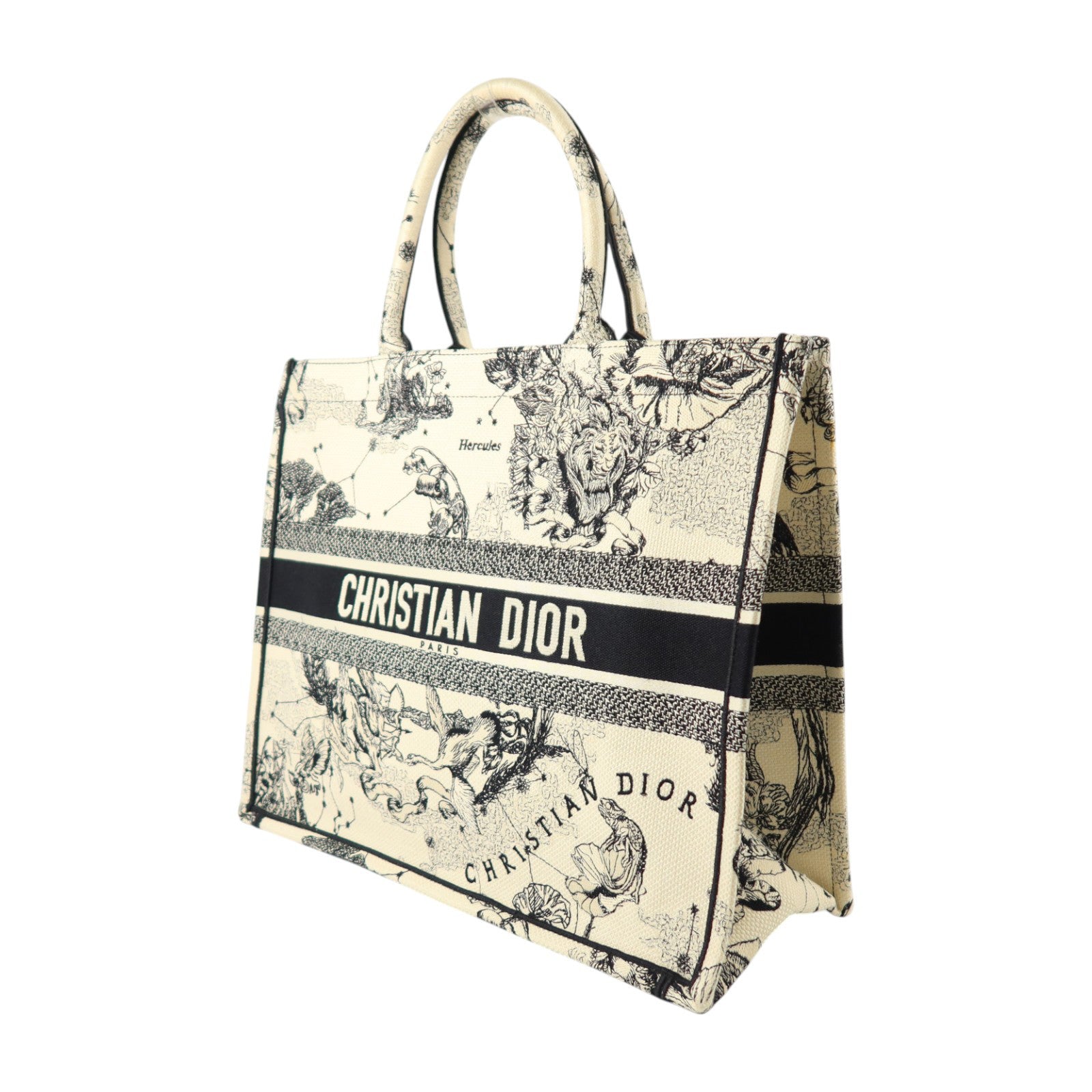 Dior 帆布Book Tote Large手挽袋