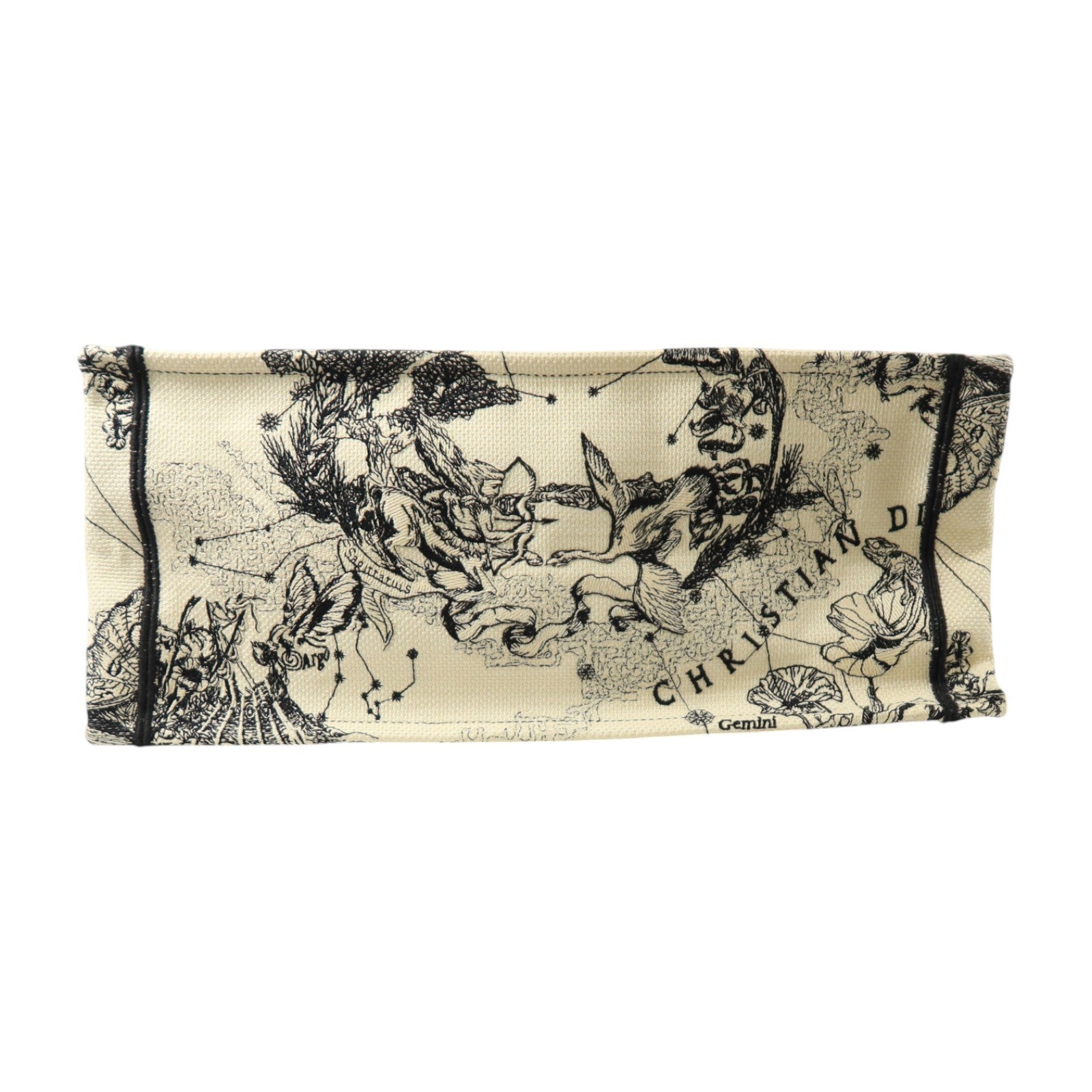 Dior 帆布Book Tote Large手挽袋
