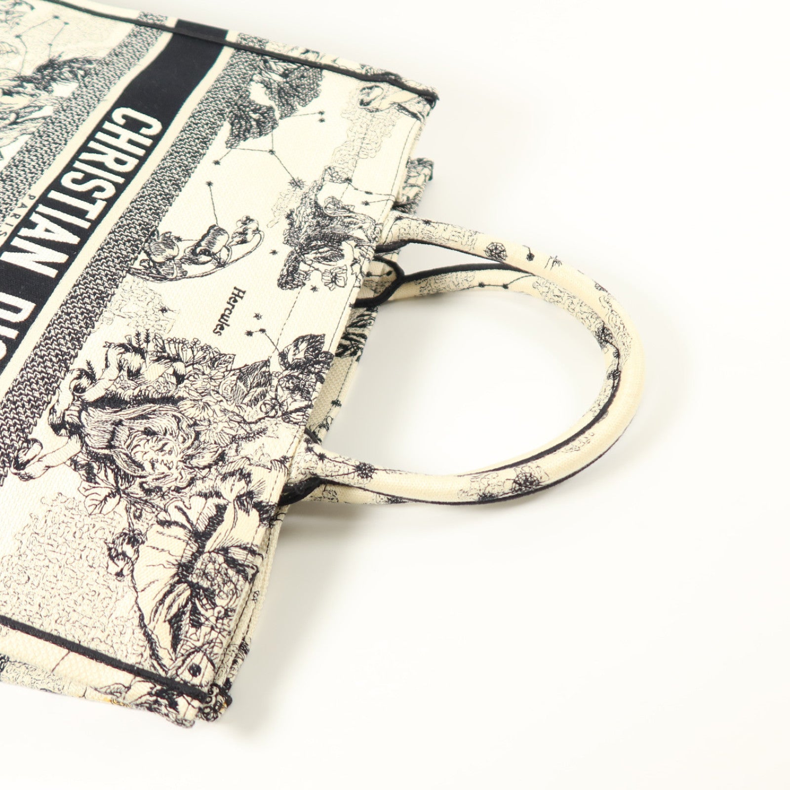 Dior 帆布Book Tote Large手挽袋