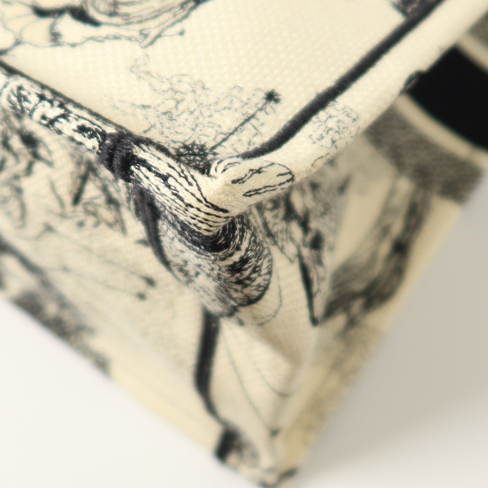Dior 帆布Book Tote Large手挽袋