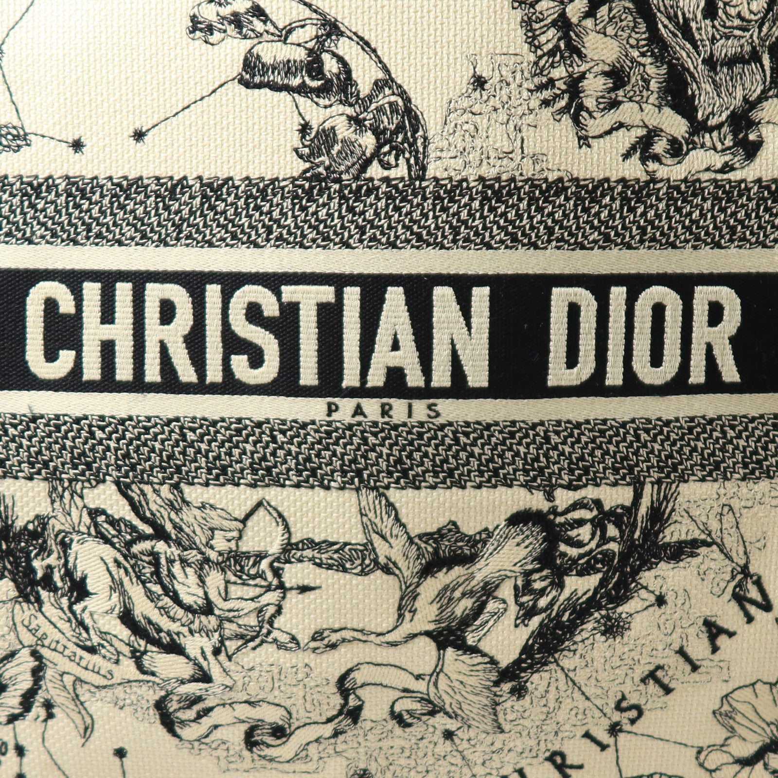 Dior 帆布Book Tote Large手挽袋