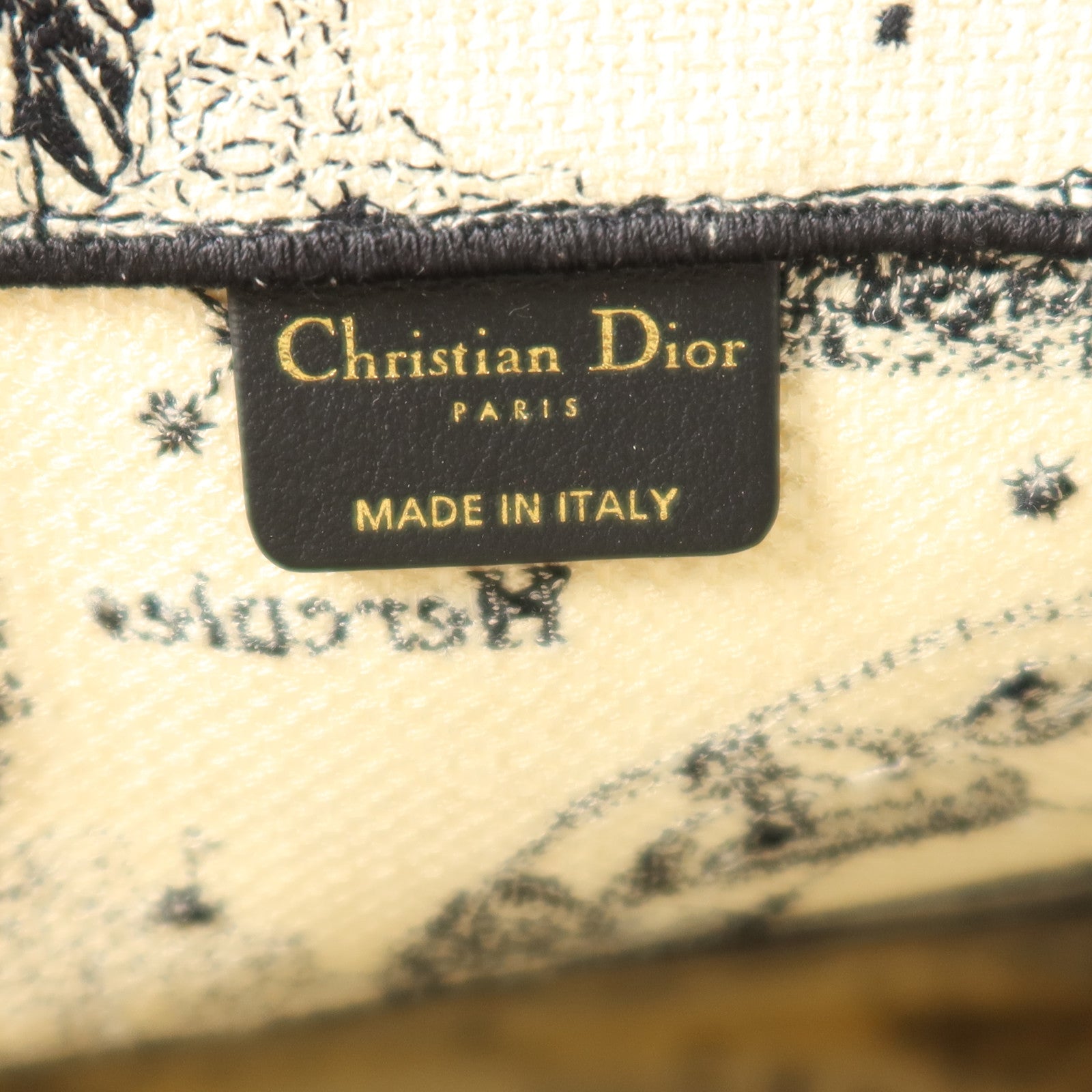 Dior 帆布Book Tote Large手挽袋