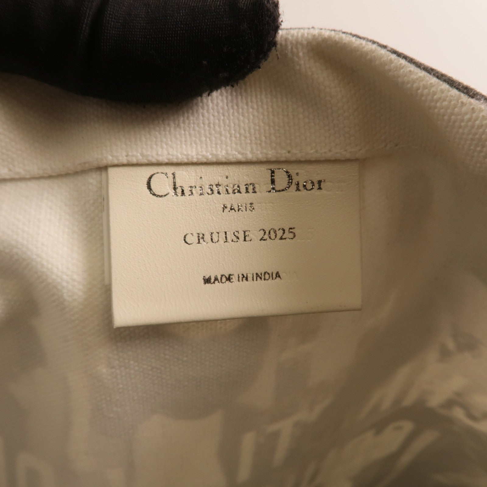 Dior 帆布Cruise 2025 Tote Bag銀扣肩背袋