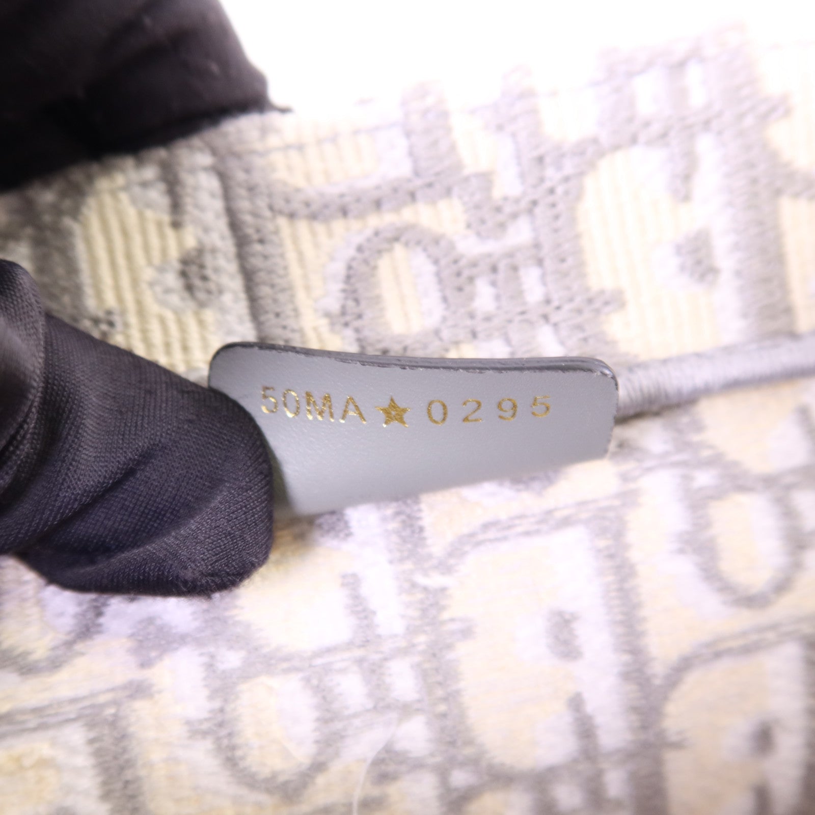 Dior 帆布Book Tote手挽袋