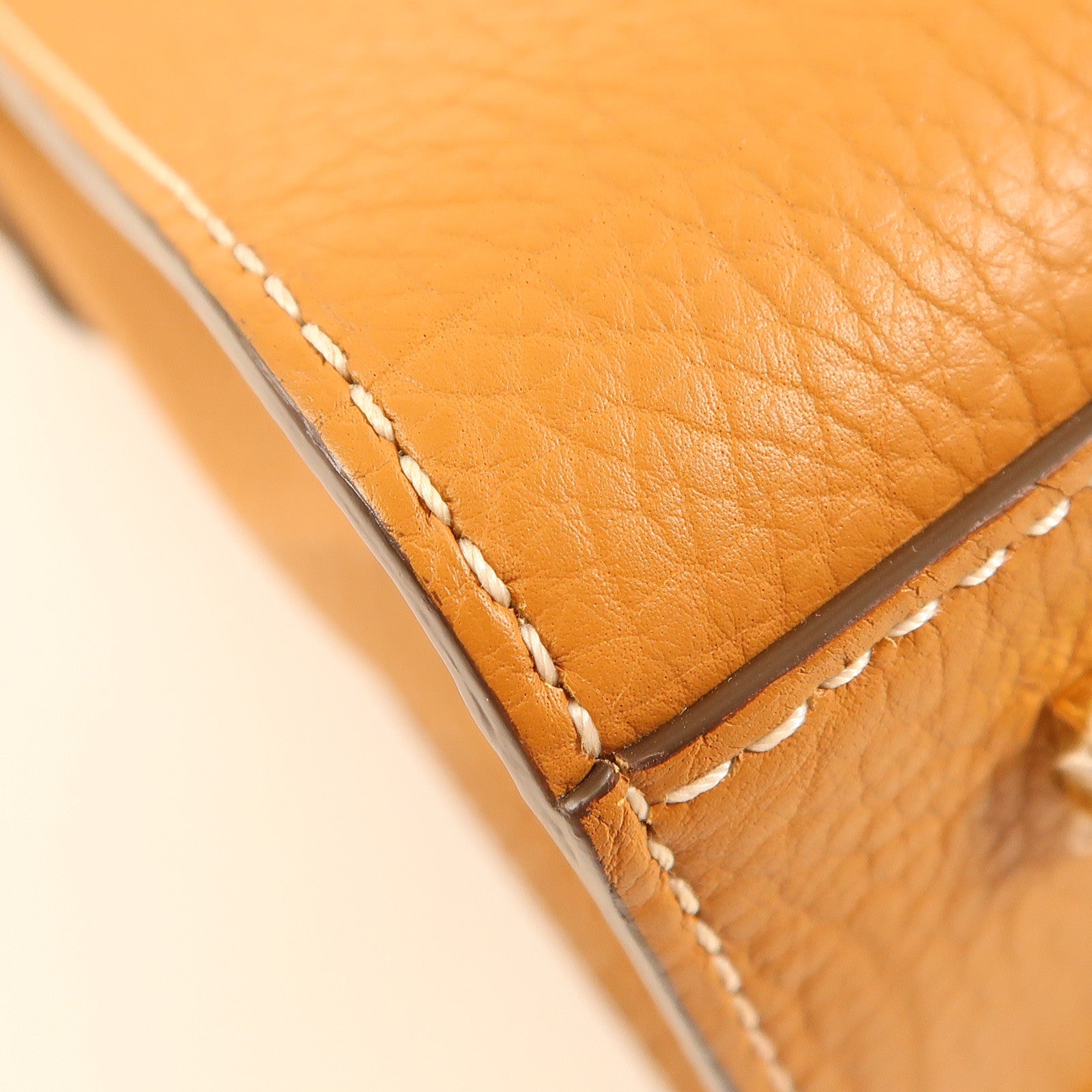 Delvaux 牛皮皮革Brillant MM金扣手挽肩背兩用袋