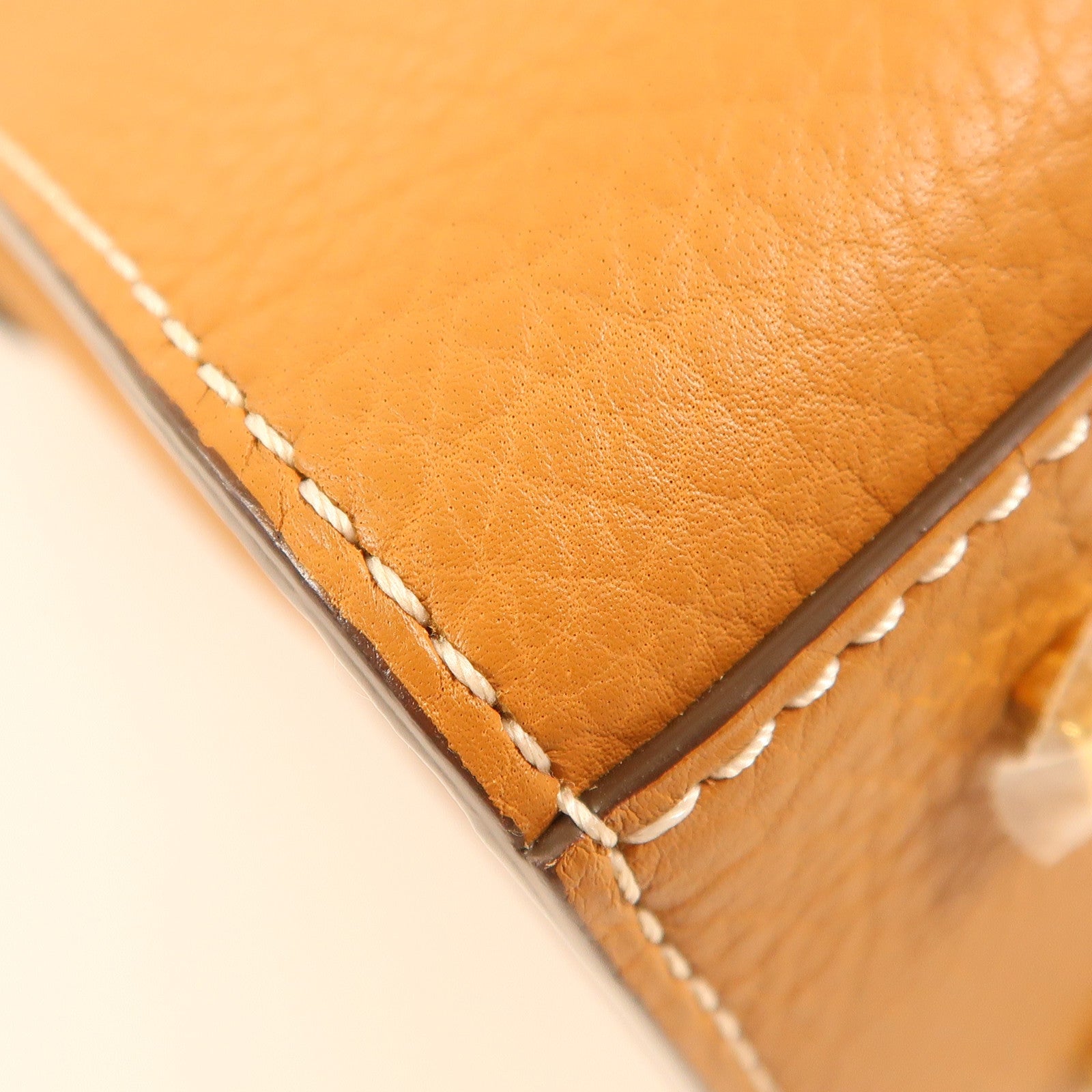 Delvaux 牛皮皮革Brillant MM金扣手挽肩背兩用袋
