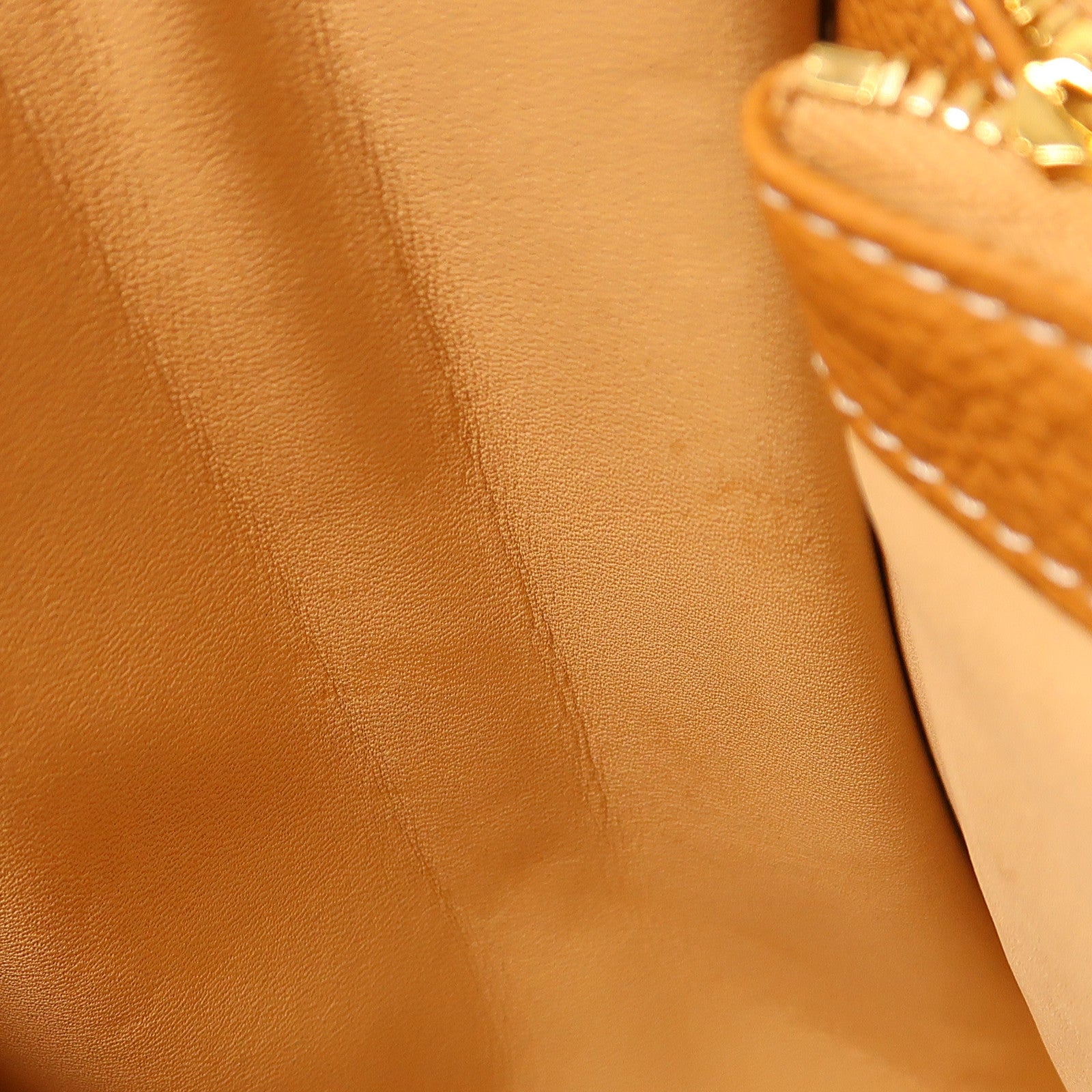 Delvaux 牛皮皮革Brillant MM金扣手挽肩背兩用袋