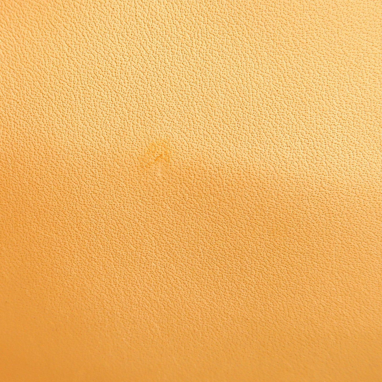 Delvaux 牛皮皮革Brillant MM金扣手挽肩背兩用袋