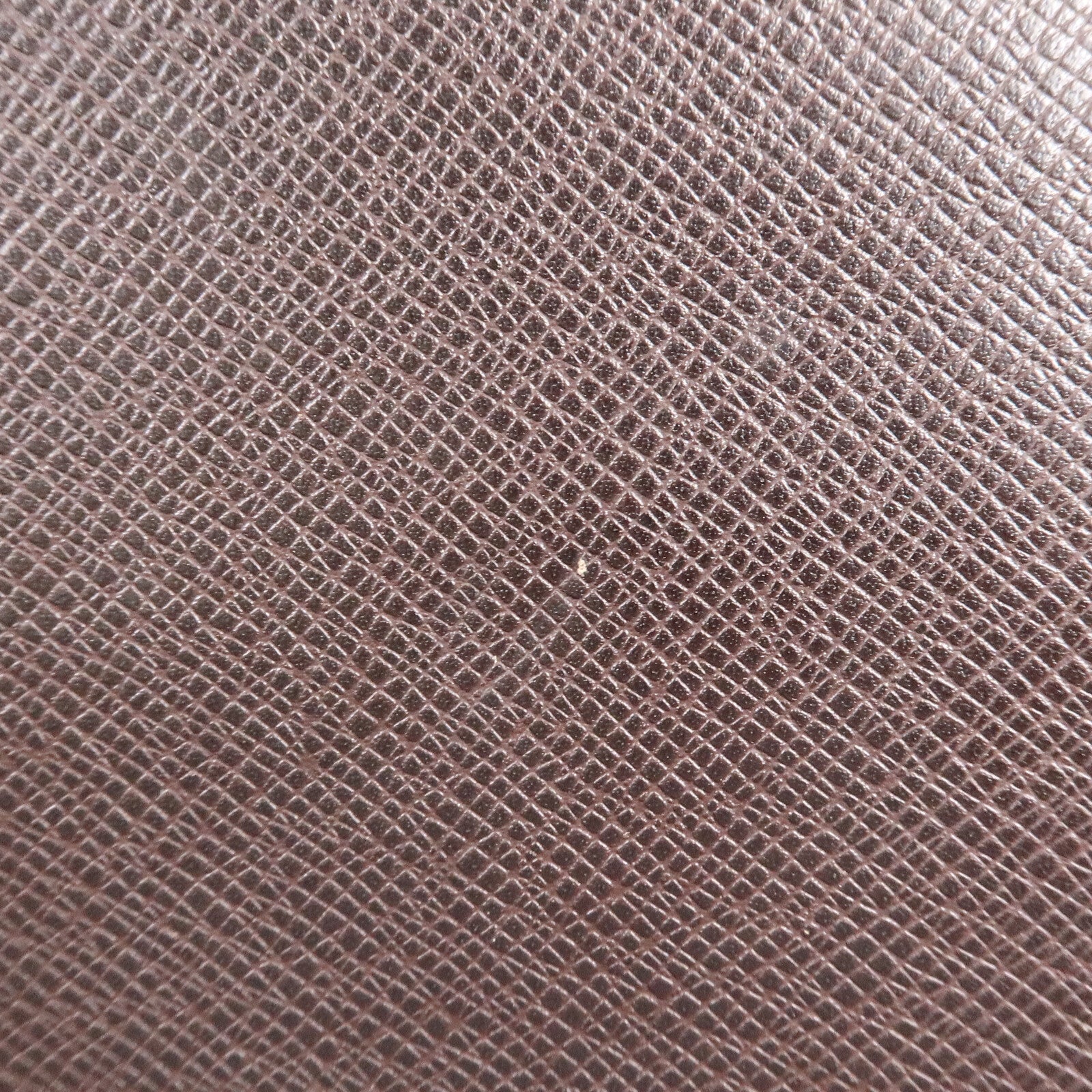 LOUIS VUITTON Taiga Roman PM肩背袋