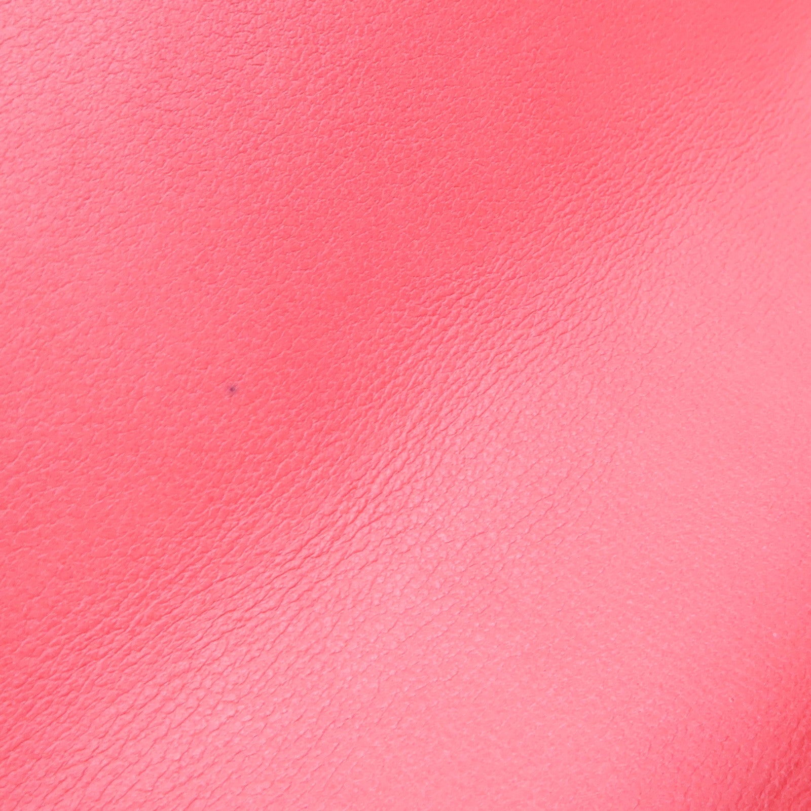 CHANEL 皮革Long Wallet金扣長錢包