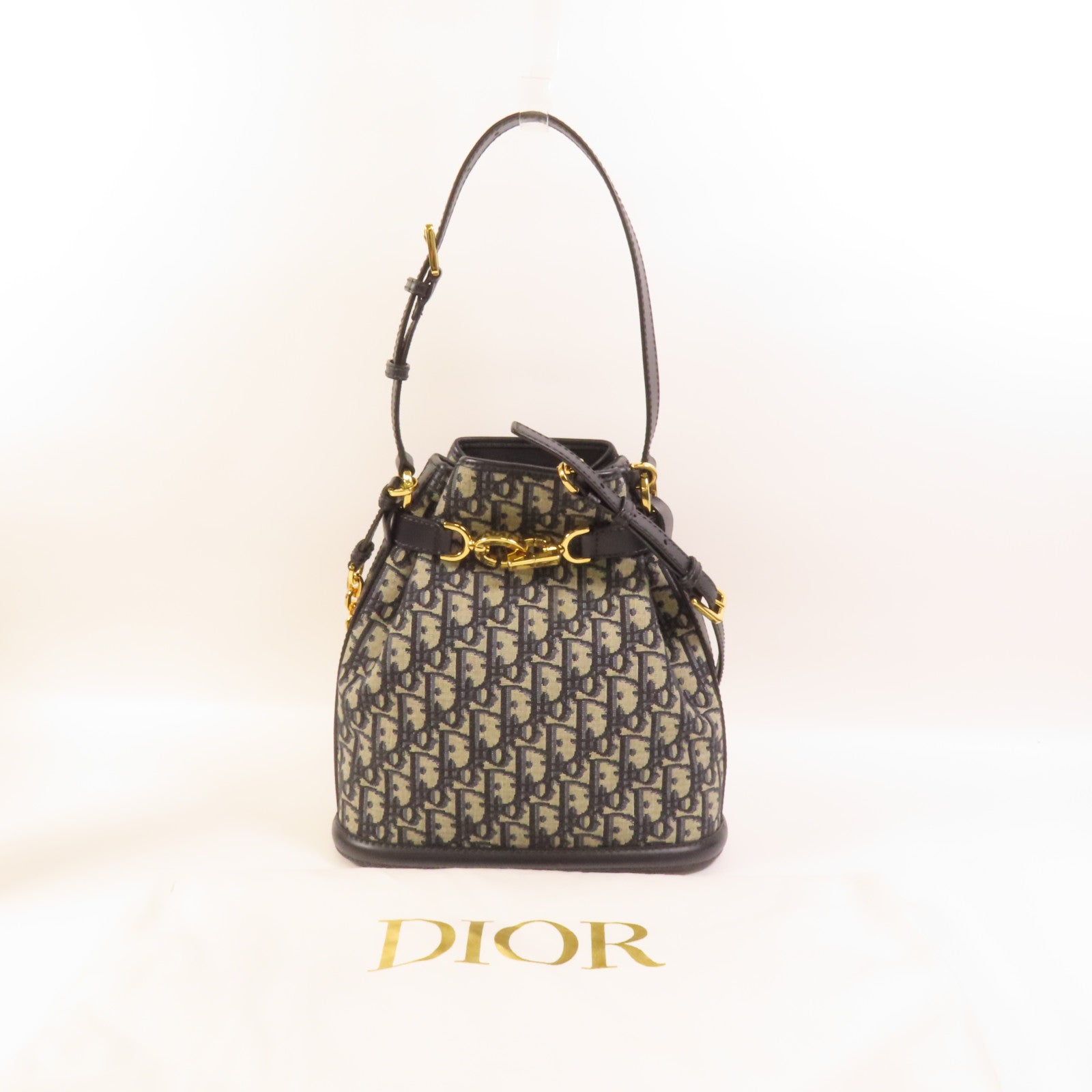 Dior 帆布C'est Dior Bag金扣手挽肩背兩用袋