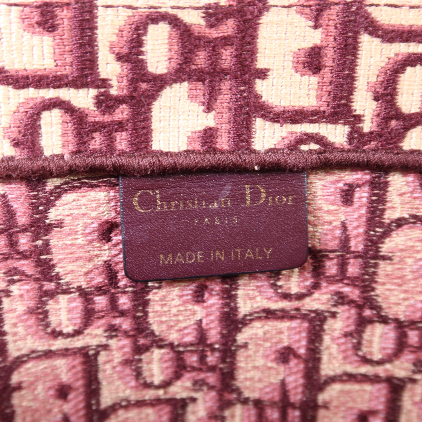 Dior 帆布Book Tote手挽袋