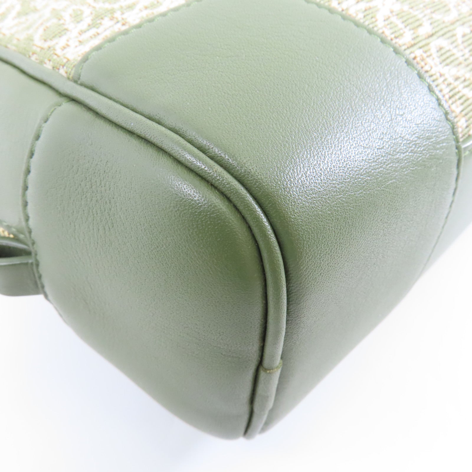 LOEWE 帆布/牛皮皮革Amazona 16金扣手挽肩背兩用袋綠色