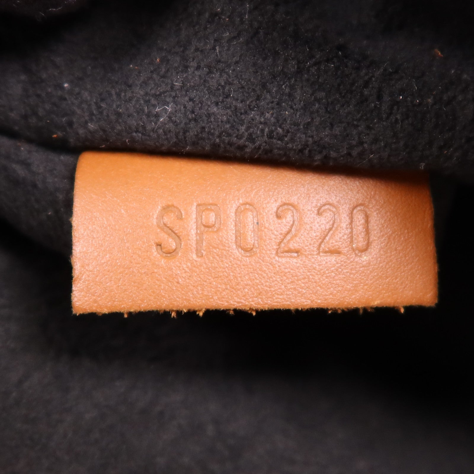 LOUIS VUITTON Monogram Reverse Dauphine Backpack背包