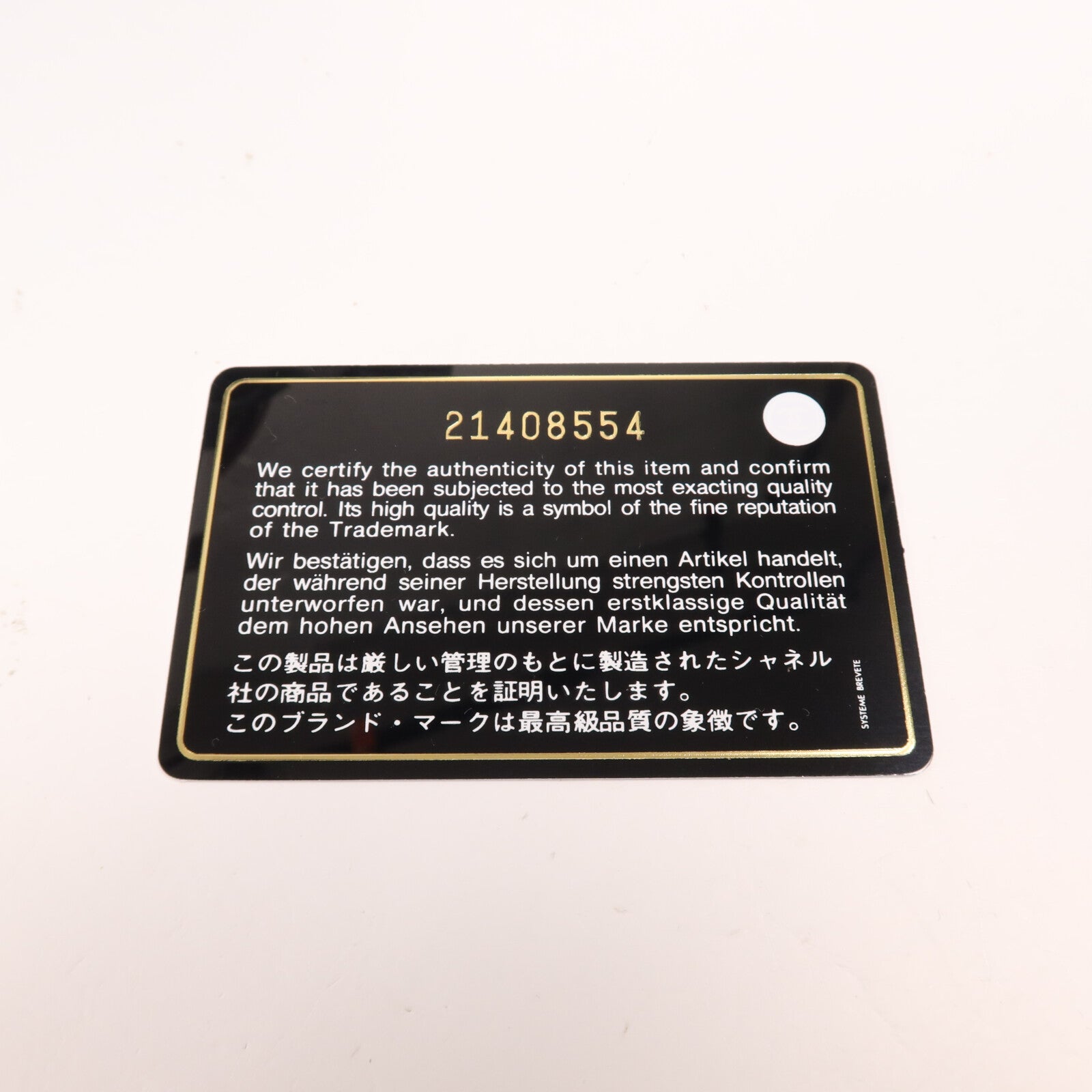 CHANEL 牛皮皮革/蜥蝪皮革CoCo Handle銀扣手挽肩背兩用袋