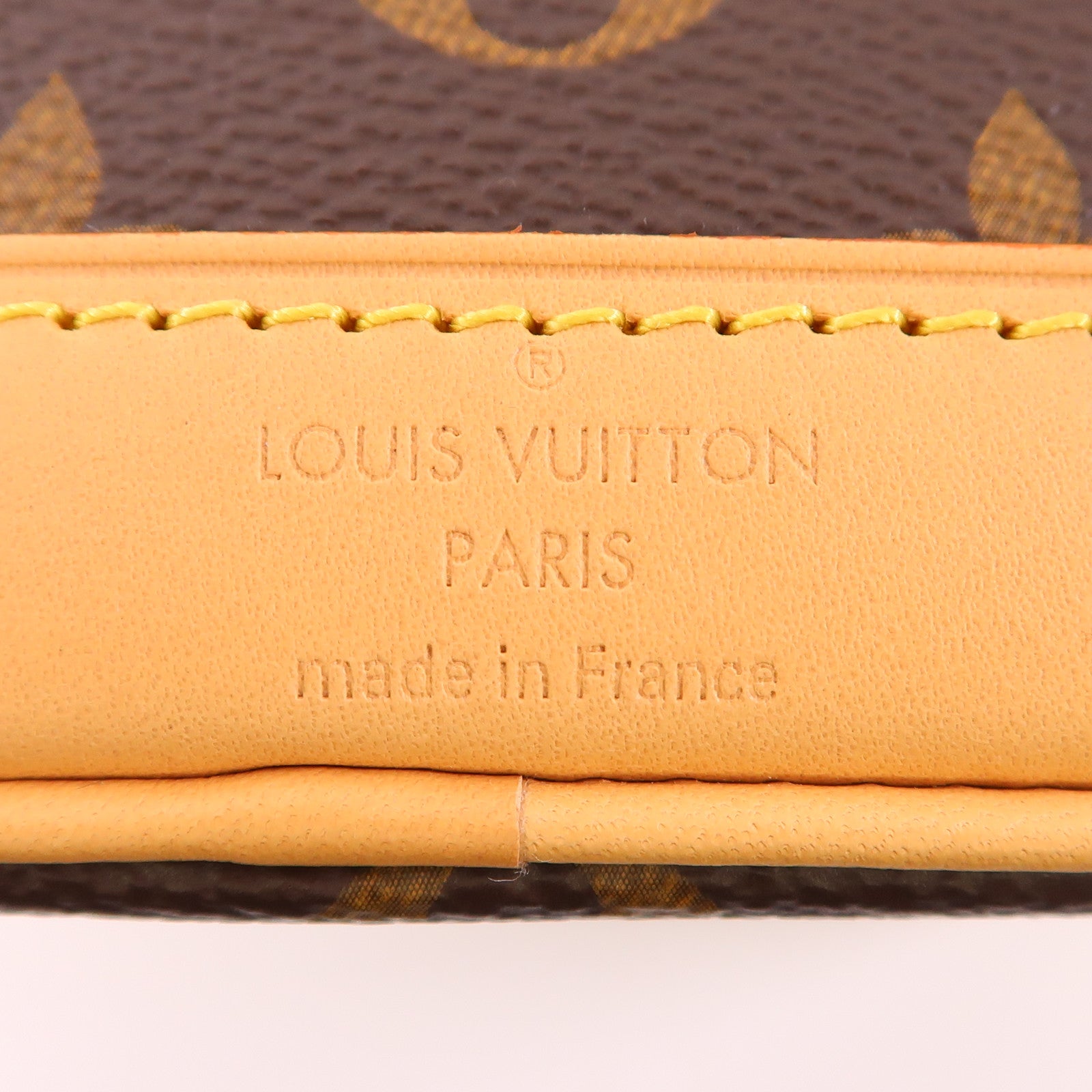 LOUIS VUITTON Monogram Nano Noe金扣手挽肩背兩用袋