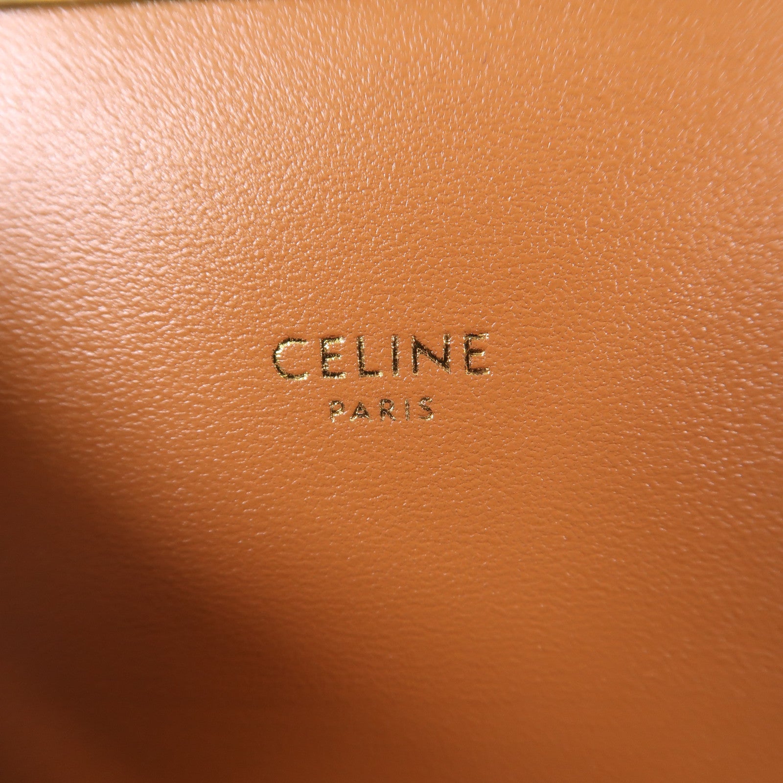 CELINE 塗層帆布Classique Triomphe Bag金扣肩背袋