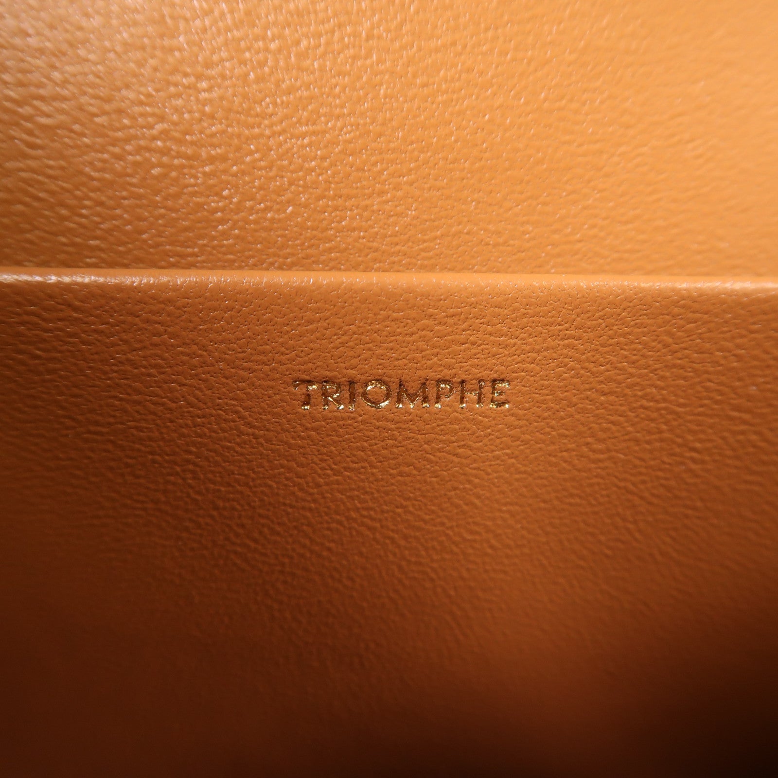 CELINE 塗層帆布Classique Triomphe Bag金扣肩背袋