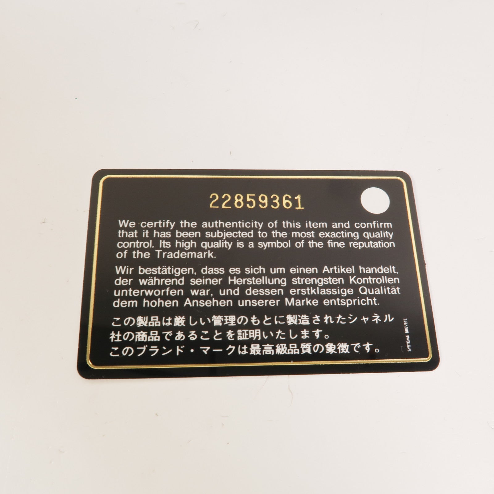 CHANEL 羊皮皮革Classic Zipped Pouch手拿包