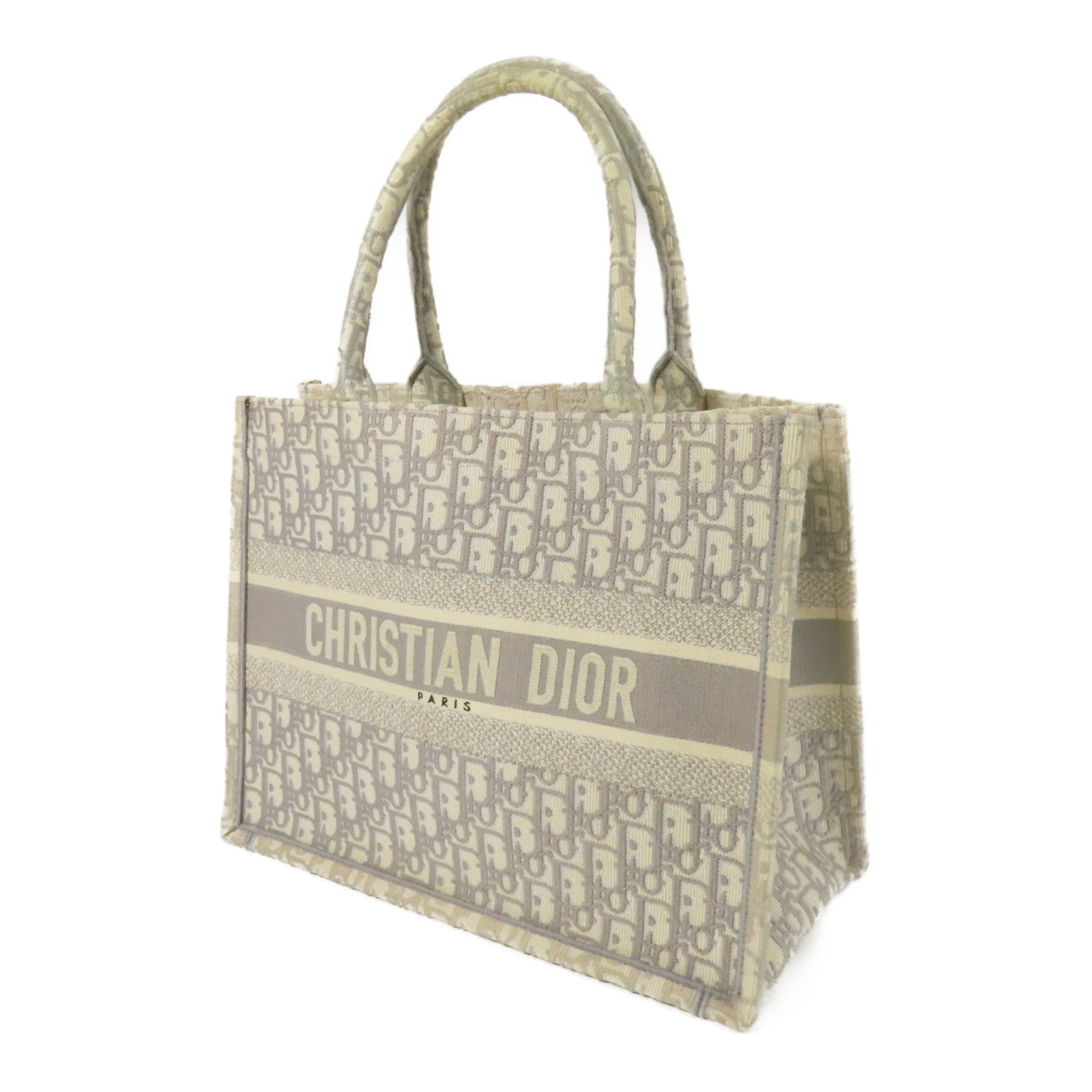 Dior 帆布Book Tote Medium手挽袋