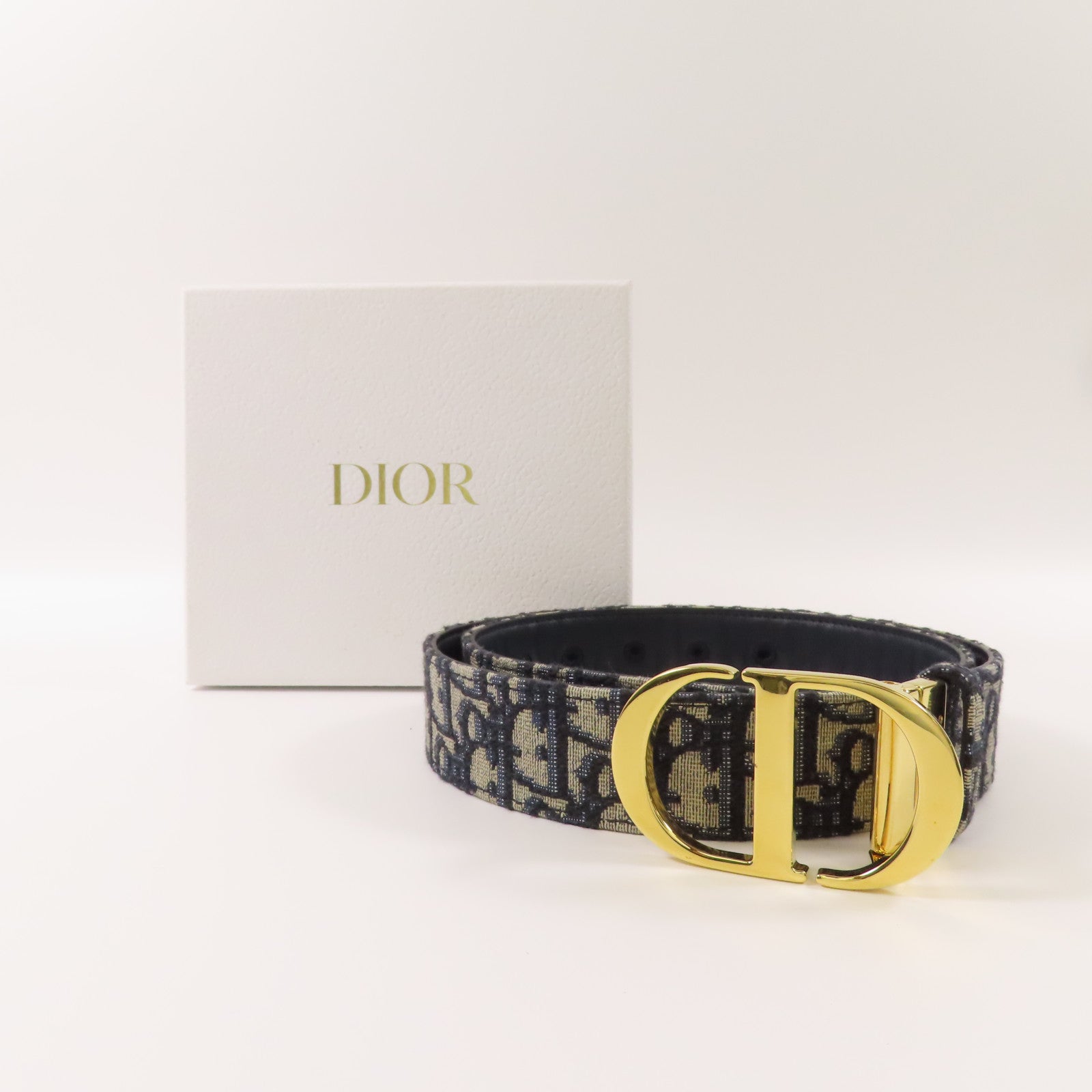Dior 帆布Saddie Belt金扣皮帶