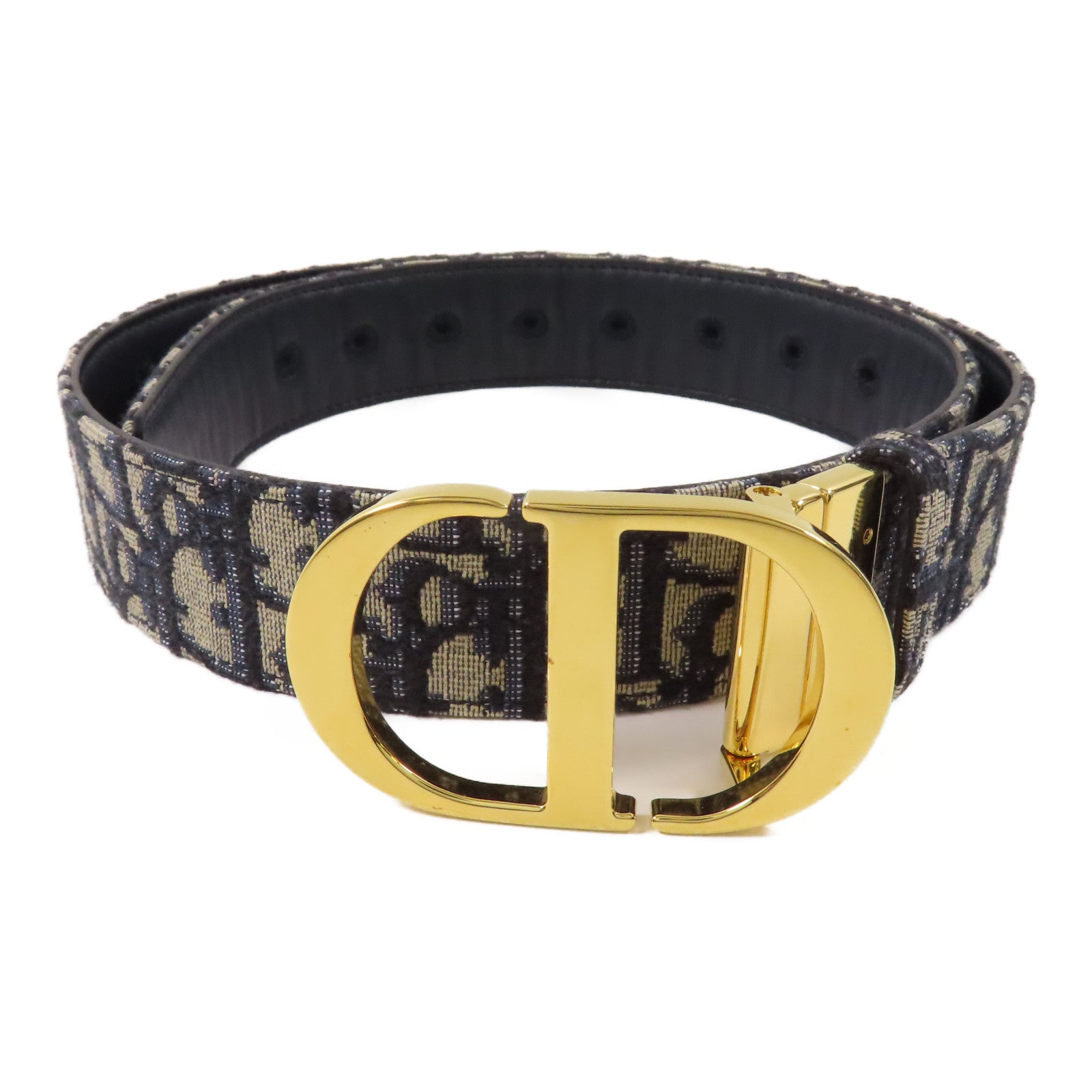 Dior 帆布Saddie Belt金扣皮帶