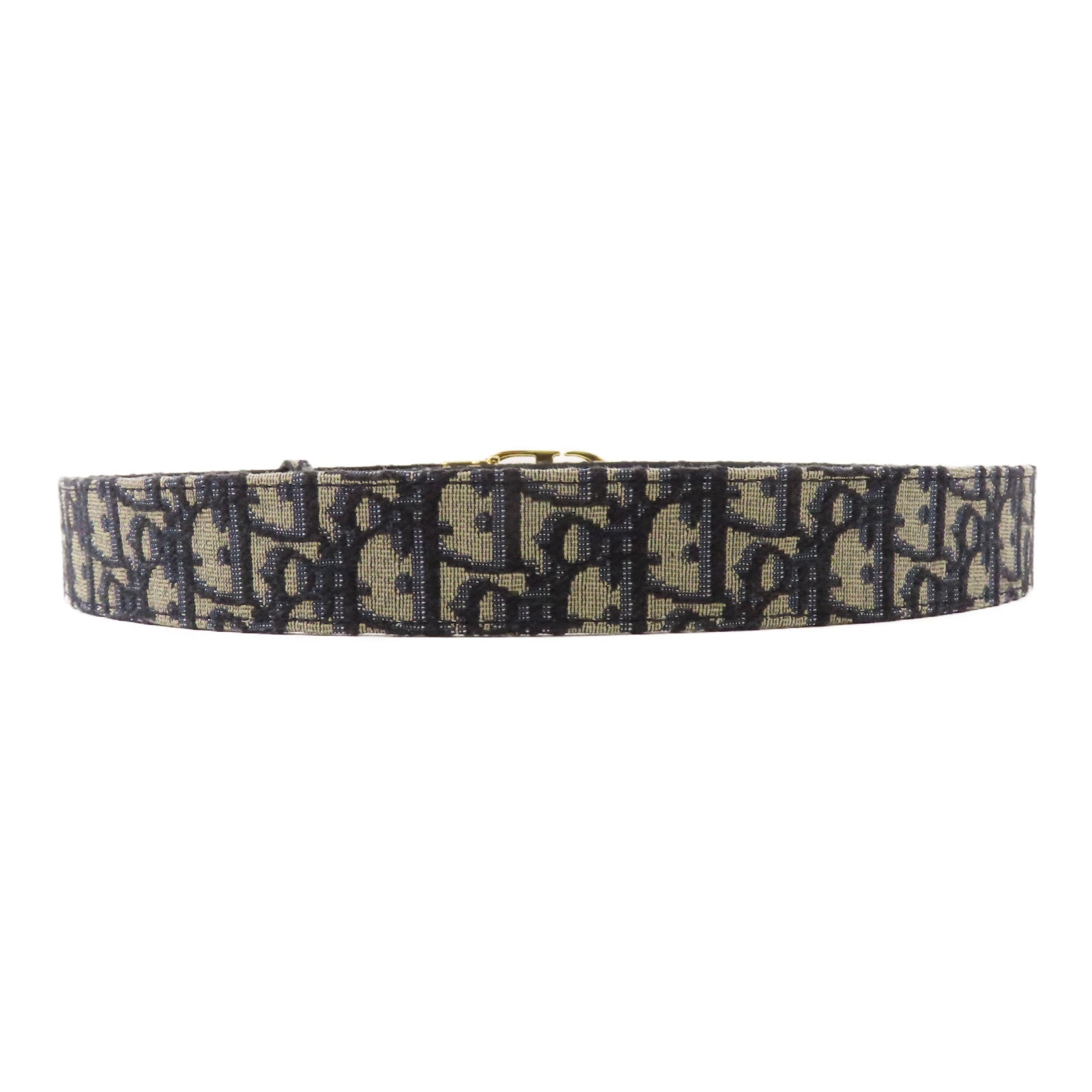 Dior 帆布Saddie Belt金扣皮帶