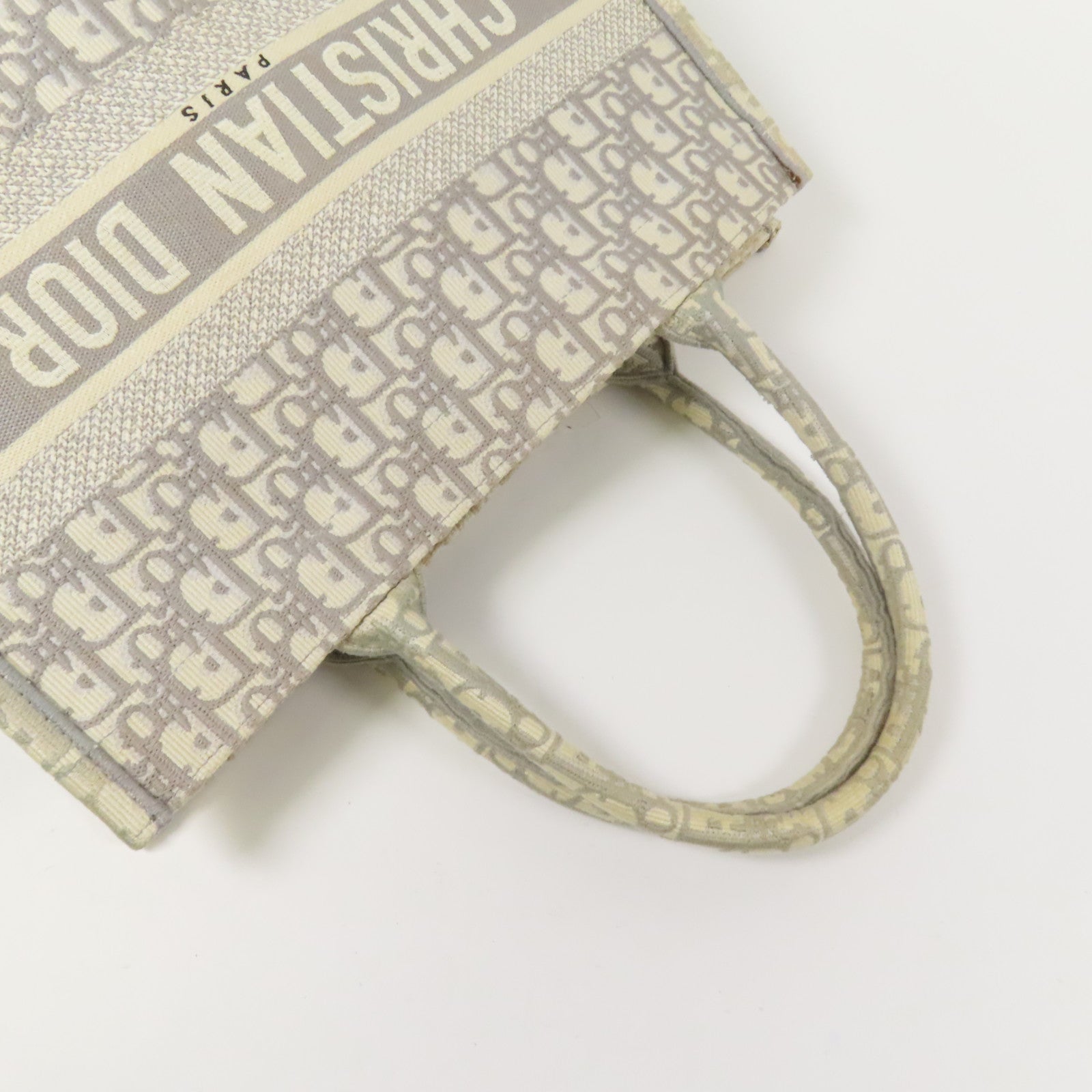 Dior 帆布Book Tote Medium手挽袋
